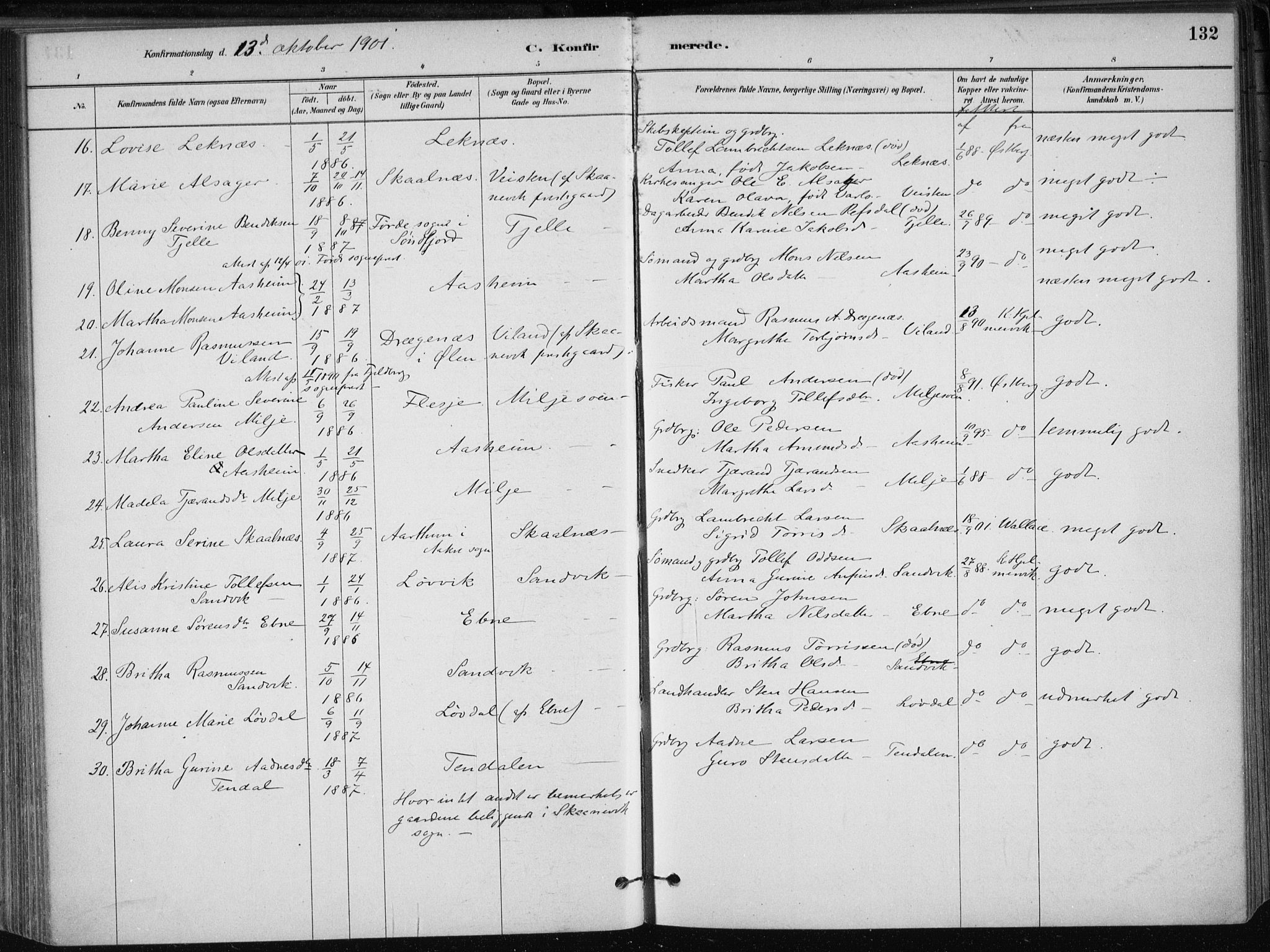 Skånevik sokneprestembete, SAB/A-77801/H/Haa: Parish register (official) no. B 1, 1879-1914, p. 132