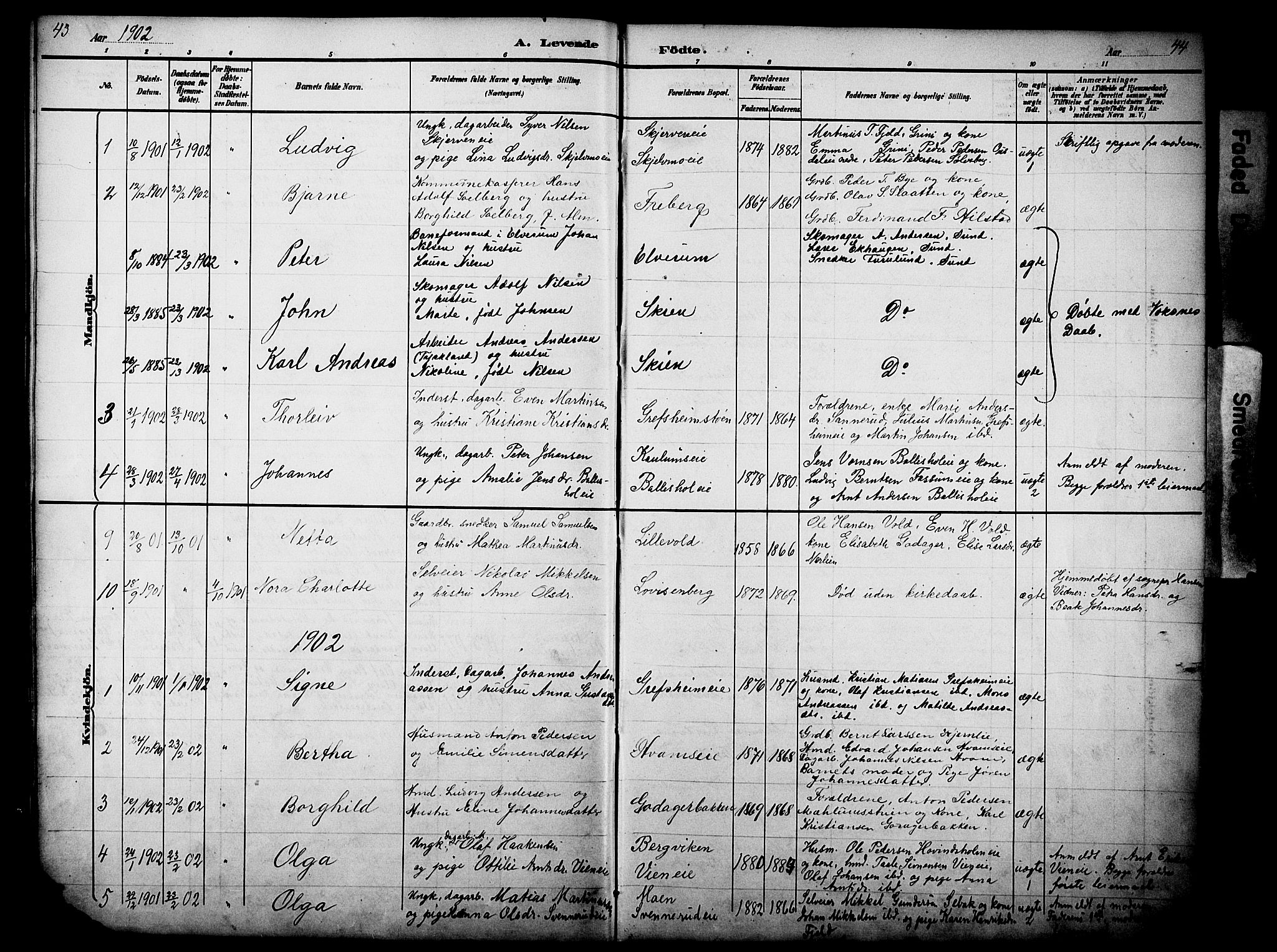 Nes prestekontor, Hedmark, AV/SAH-PREST-020/L/La/L0006: Parish register (copy) no. 6, 1890-1932, p. 43-44