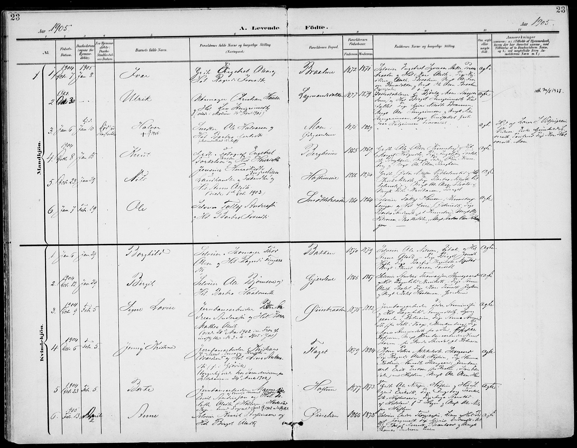 Gol kirkebøker, AV/SAKO-A-226/F/Fa/L0006: Parish register (official) no. I 6, 1901-1918, p. 23