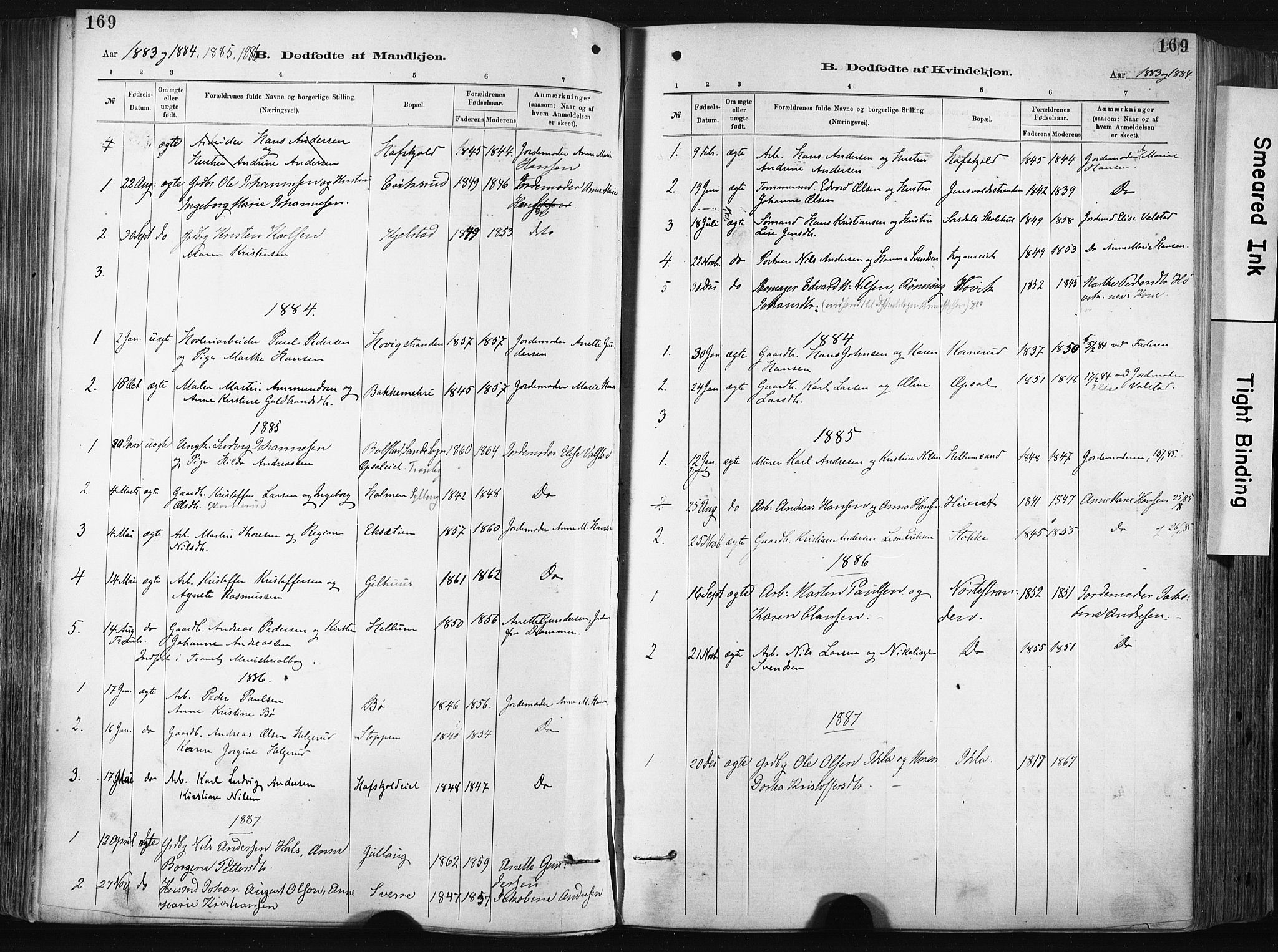 Lier kirkebøker, SAKO/A-230/F/Fa/L0015: Parish register (official) no. I 15, 1883-1894, p. 169