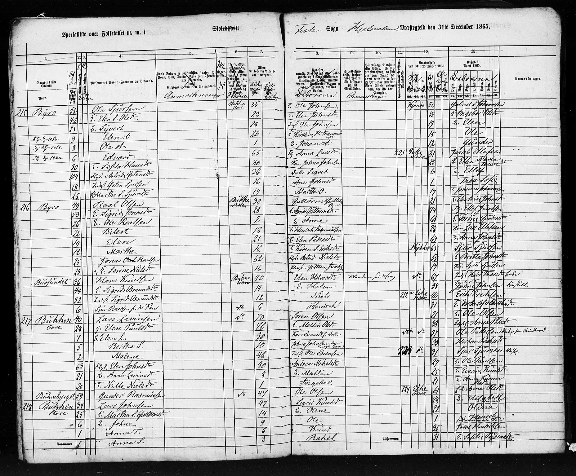 SAST, Census 1865 (copy) for Hjelmeland, 1865, p. 7