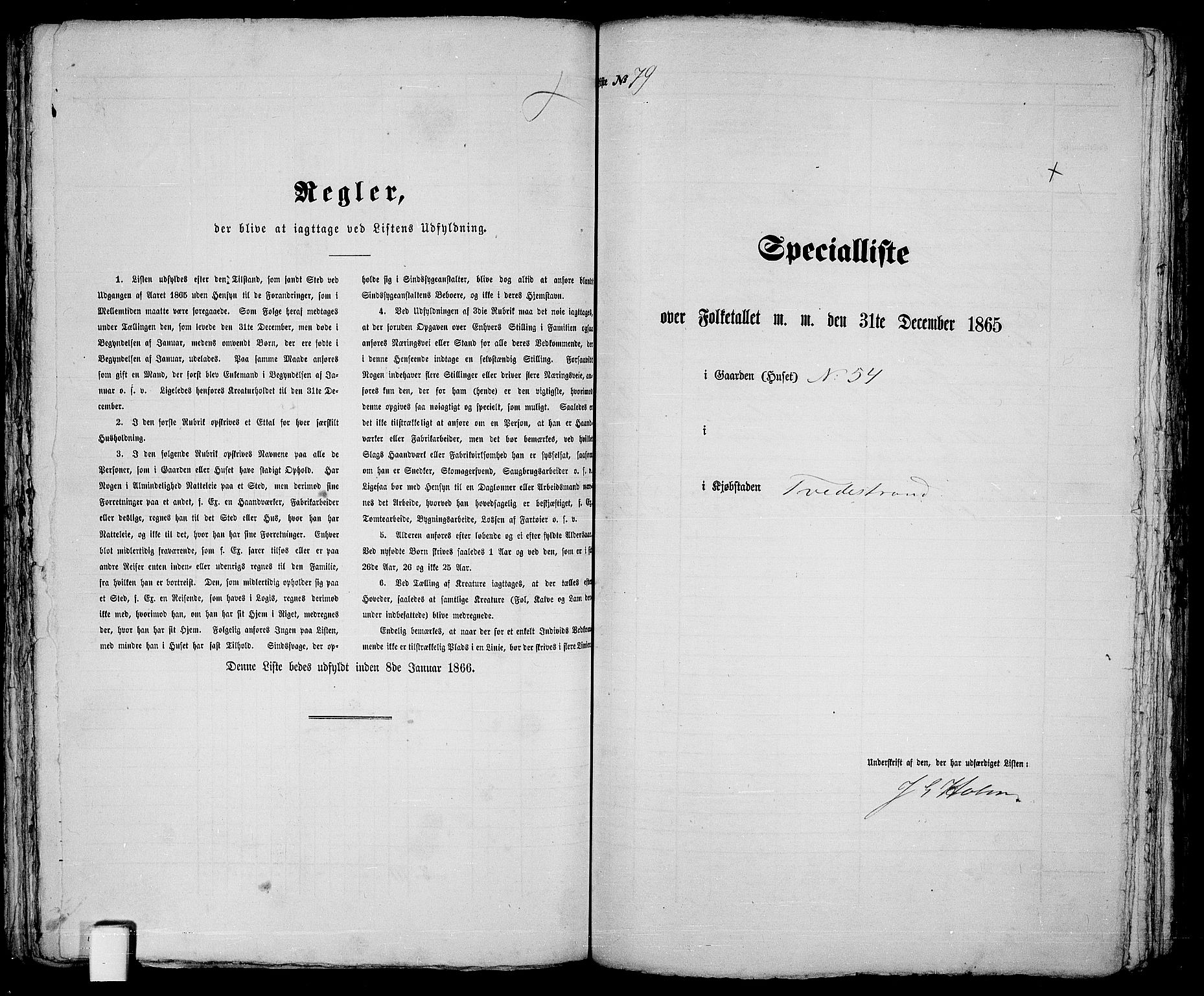 RA, 1865 census for Holt/Tvedestrand, 1865, p. 163