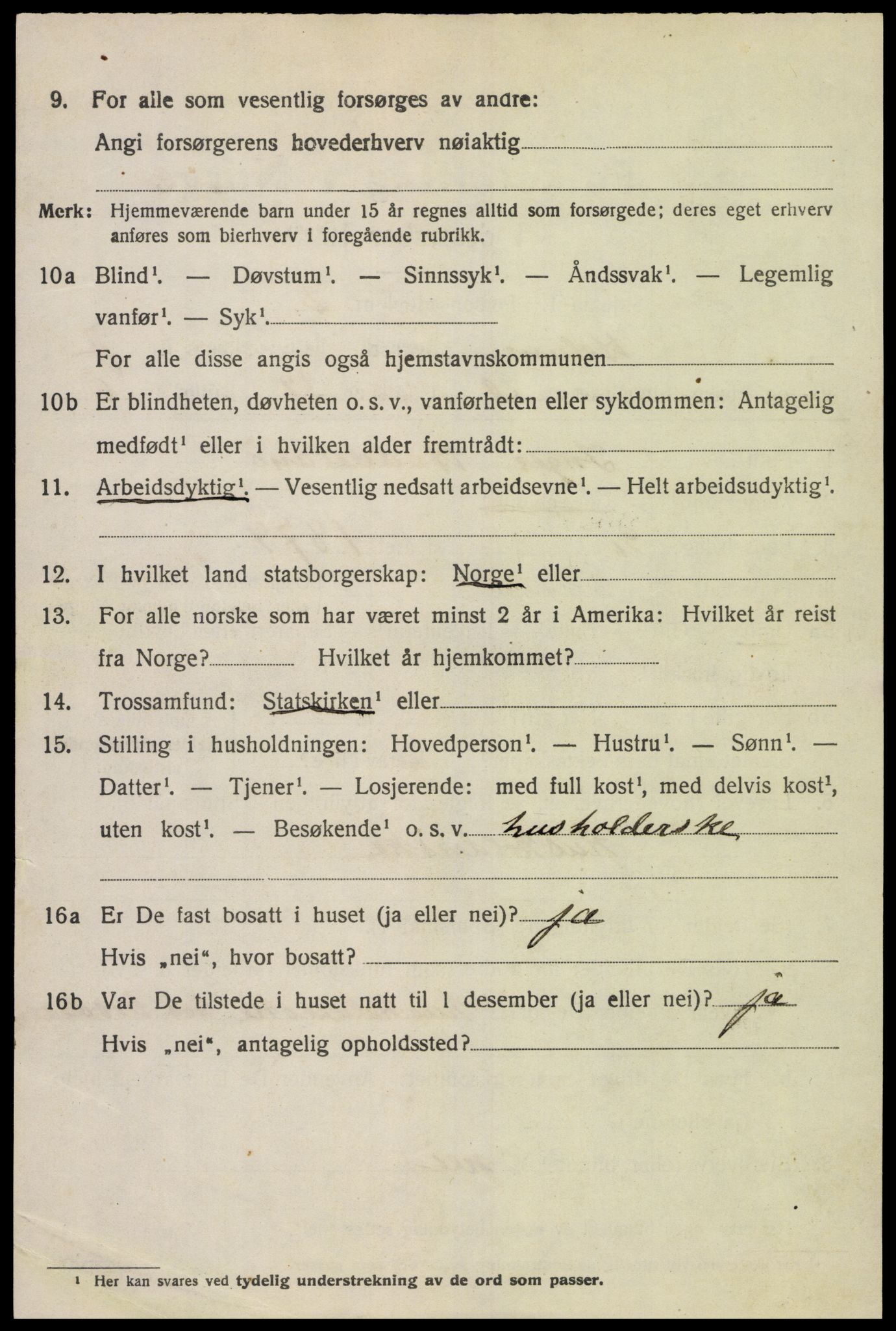 SAK, 1920 census for Holum, 1920, p. 2516