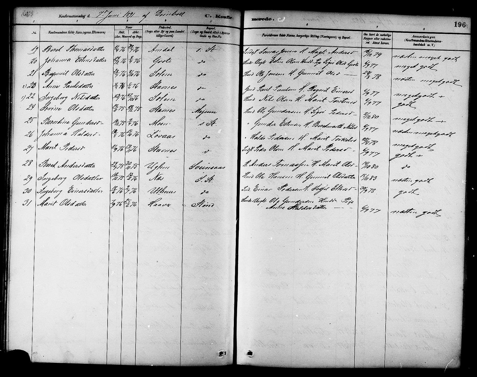 Ministerialprotokoller, klokkerbøker og fødselsregistre - Sør-Trøndelag, SAT/A-1456/695/L1157: Parish register (copy) no. 695C08, 1889-1913, p. 196