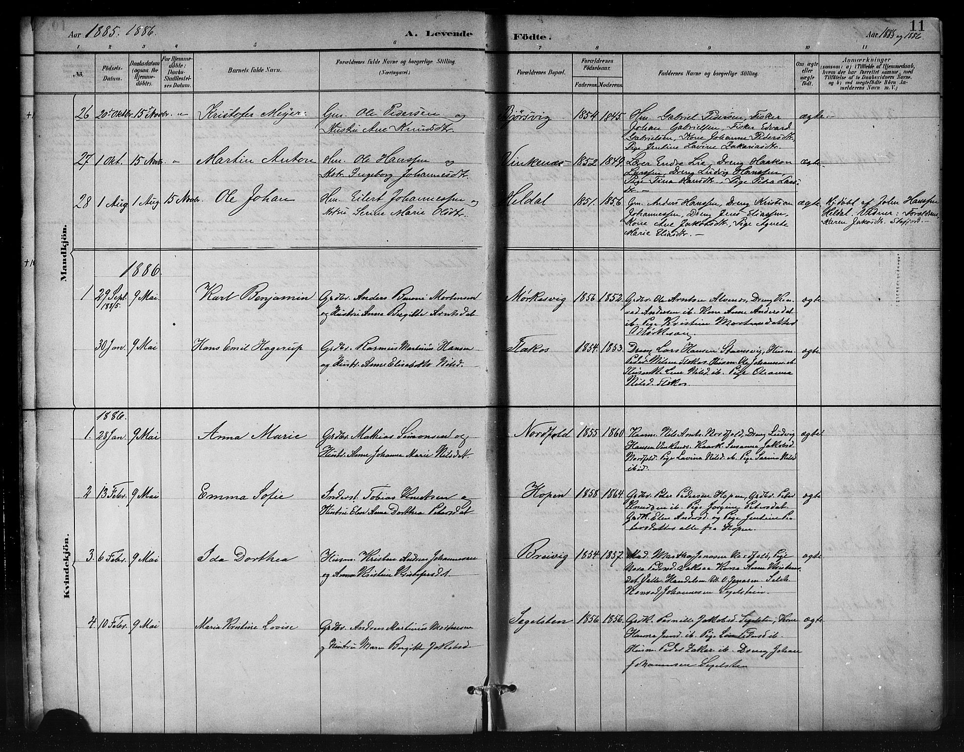 Ministerialprotokoller, klokkerbøker og fødselsregistre - Nordland, AV/SAT-A-1459/858/L0831: Parish register (official) no. 858A01, 1884-1902, p. 11