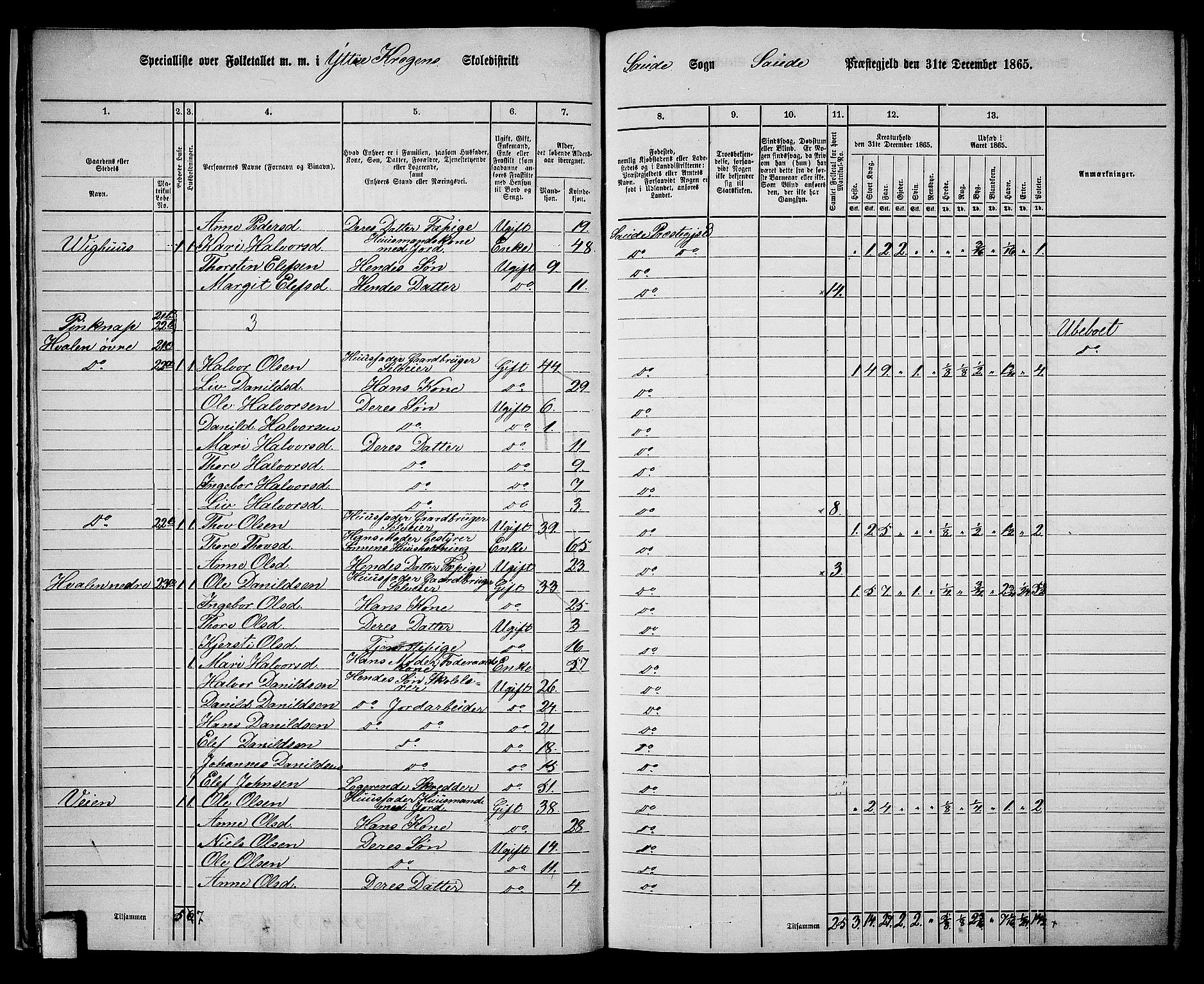 RA, 1865 census for Sauherad, 1865, p. 21