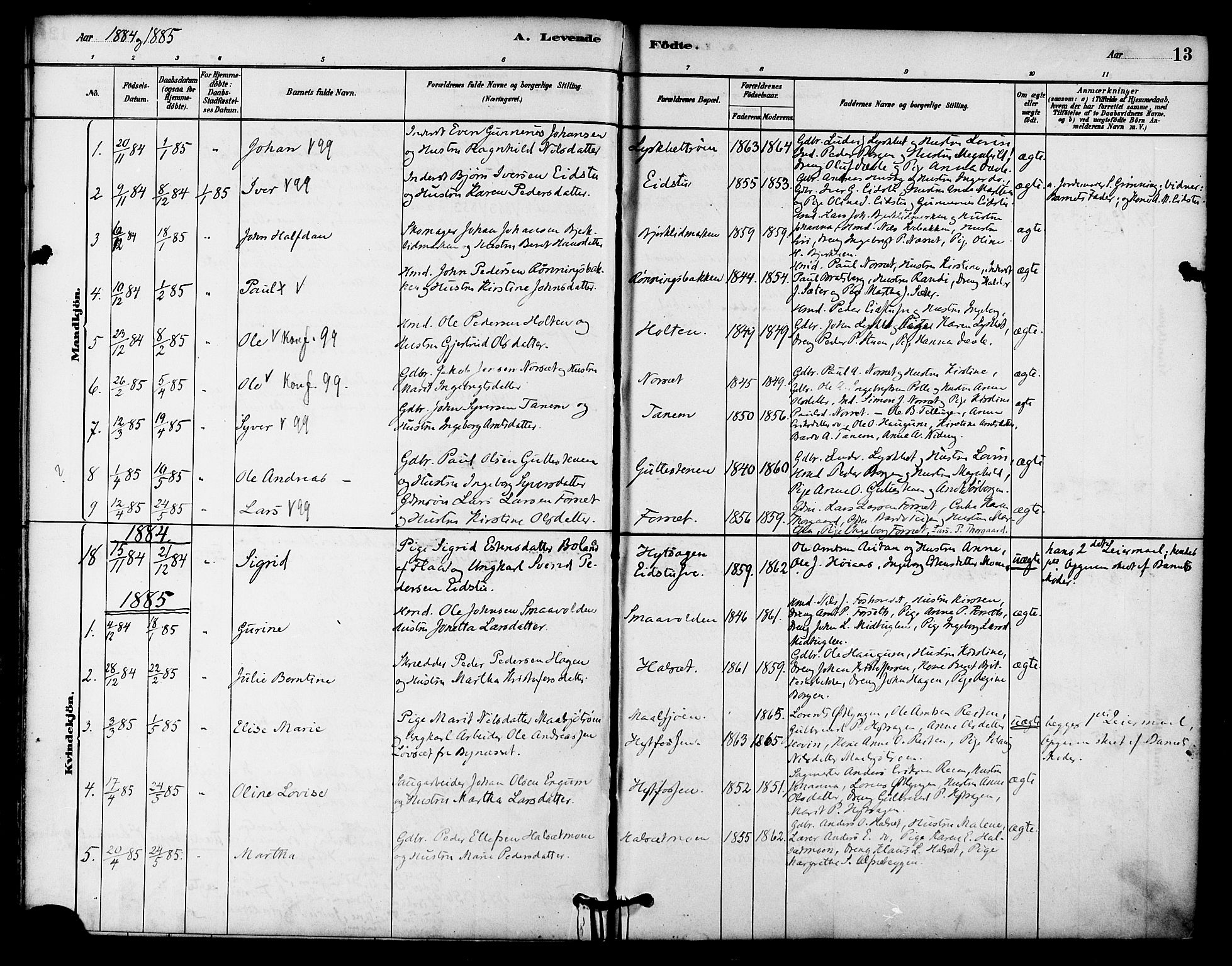 Ministerialprotokoller, klokkerbøker og fødselsregistre - Sør-Trøndelag, SAT/A-1456/618/L0444: Parish register (official) no. 618A07, 1880-1898, p. 13