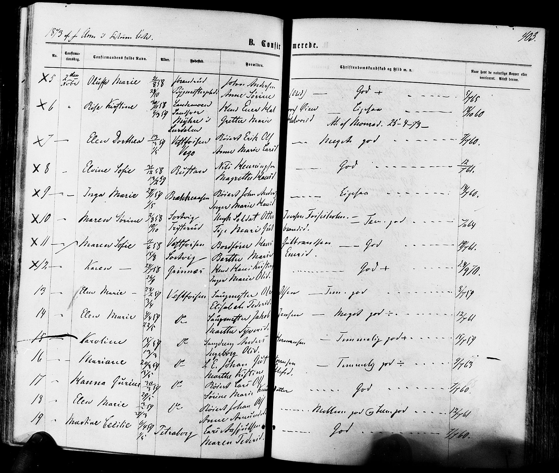 Eiker kirkebøker, AV/SAKO-A-4/F/Fa/L0017: Parish register (official) no. I 17, 1869-1877, p. 403