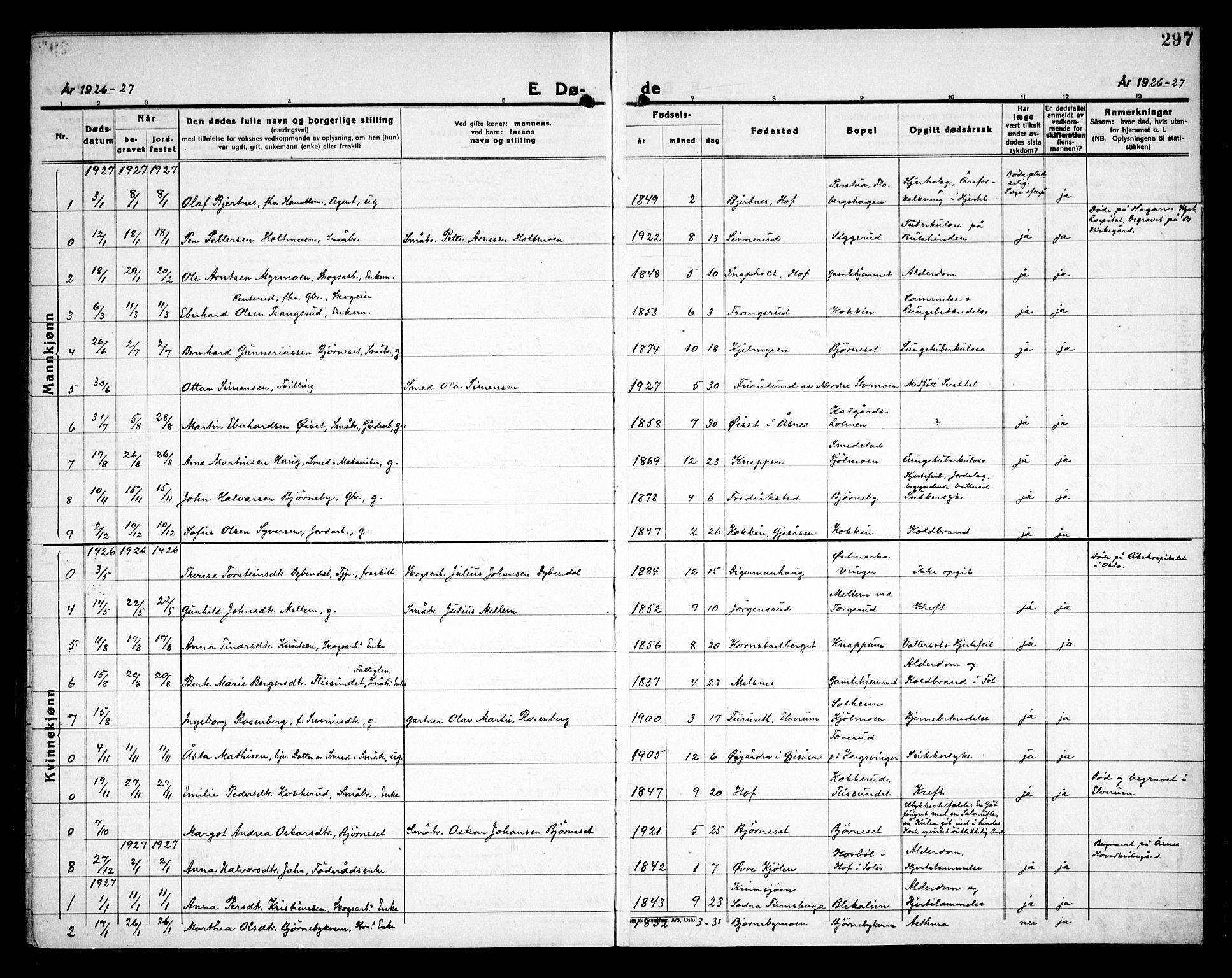Åsnes prestekontor, SAH/PREST-042/H/Ha/Haa/L0000C: Parish register (official) no. 0A, 1890-1929, p. 297