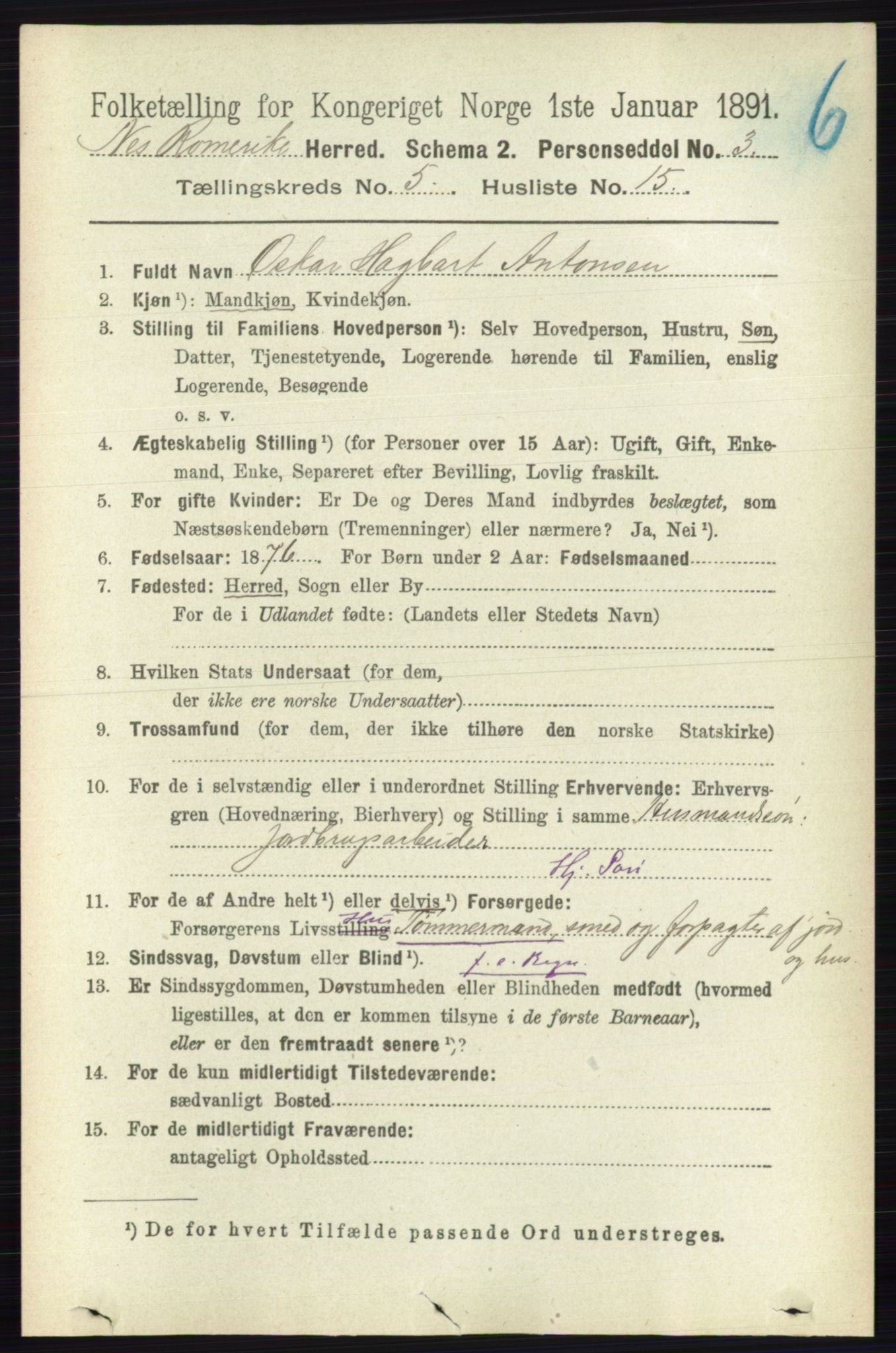 RA, 1891 census for 0236 Nes, 1891, p. 2873