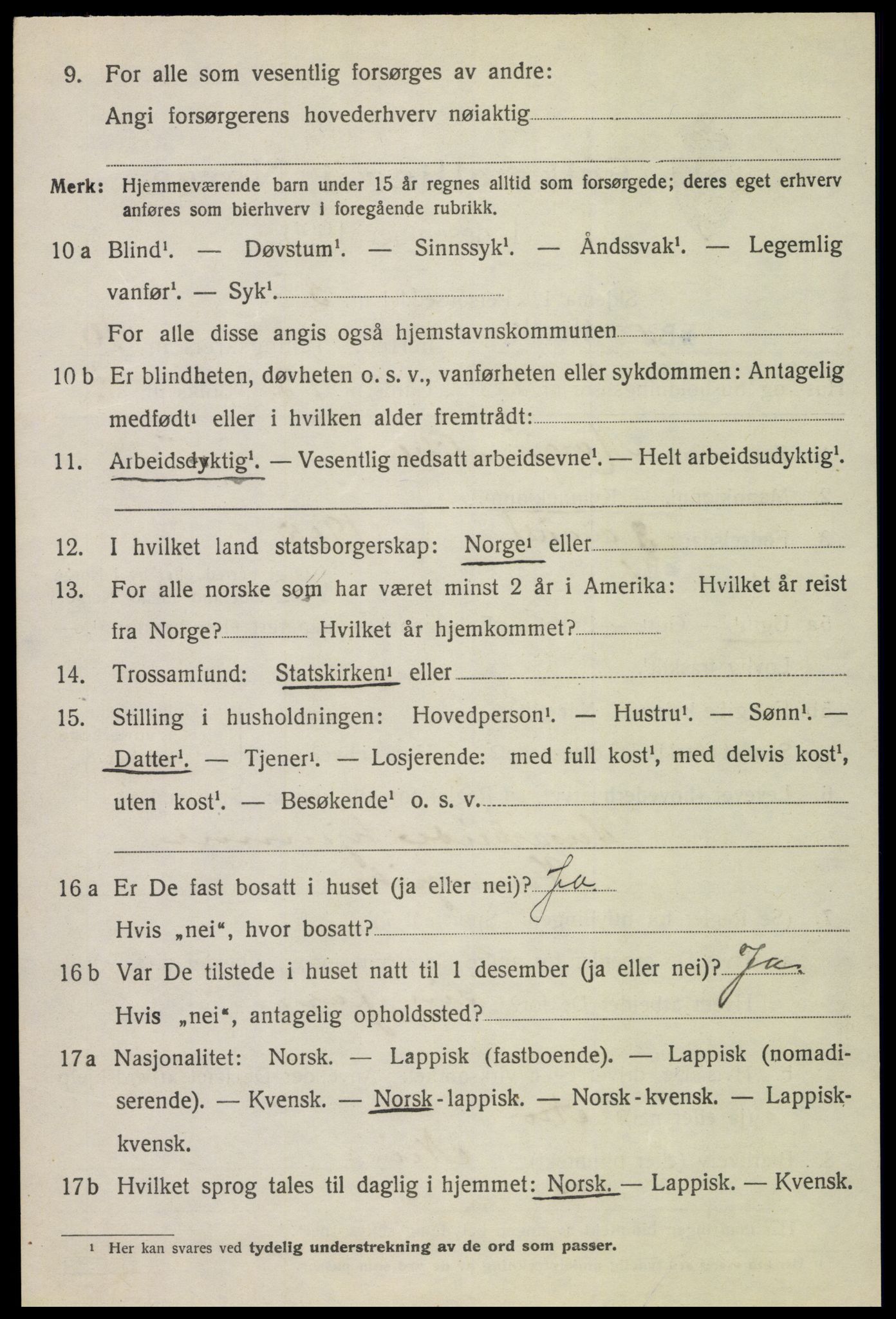 SAT, 1920 census for Bø, 1920, p. 8527