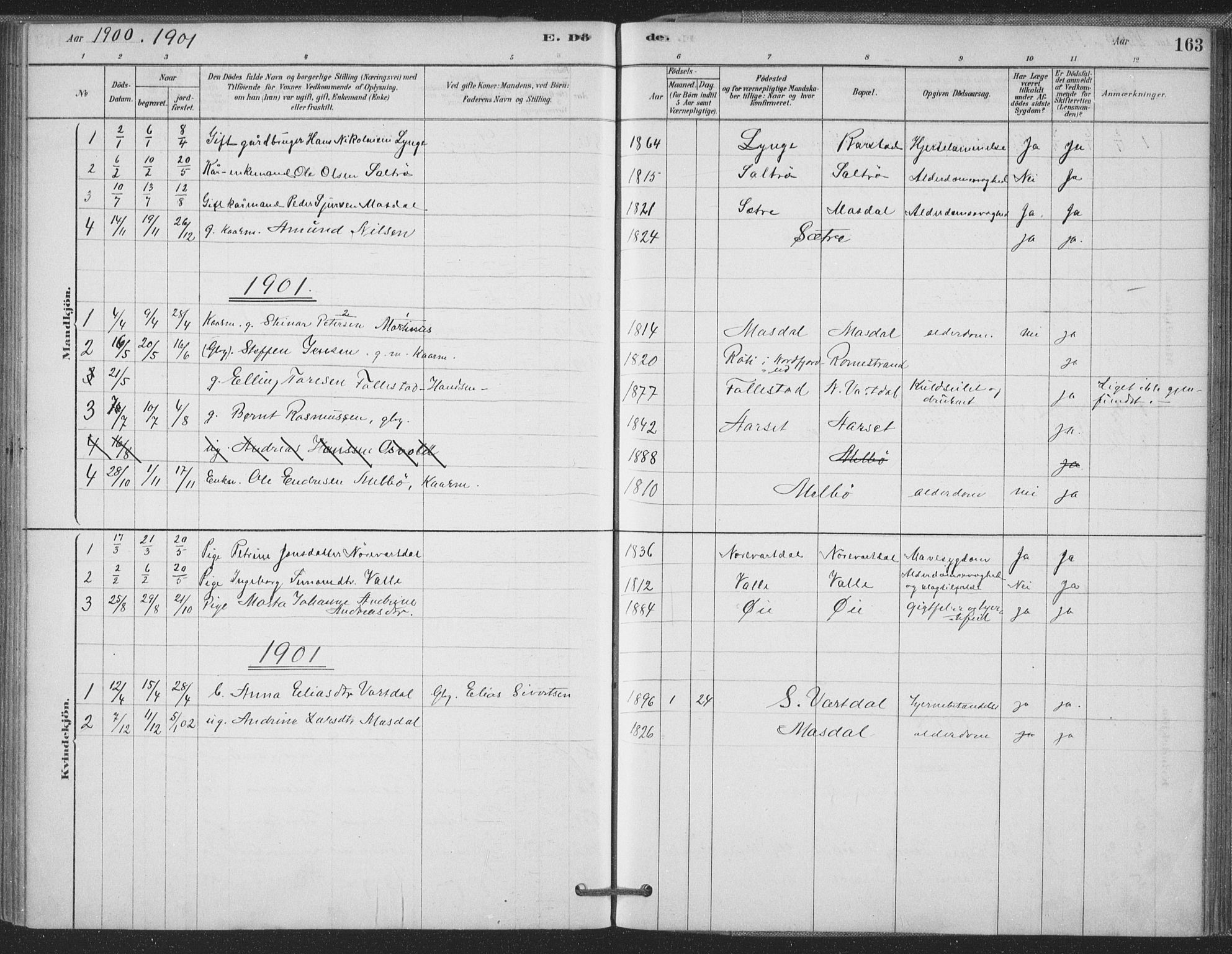 Ministerialprotokoller, klokkerbøker og fødselsregistre - Møre og Romsdal, AV/SAT-A-1454/514/L0199: Parish register (official) no. 514A01, 1878-1912, p. 163