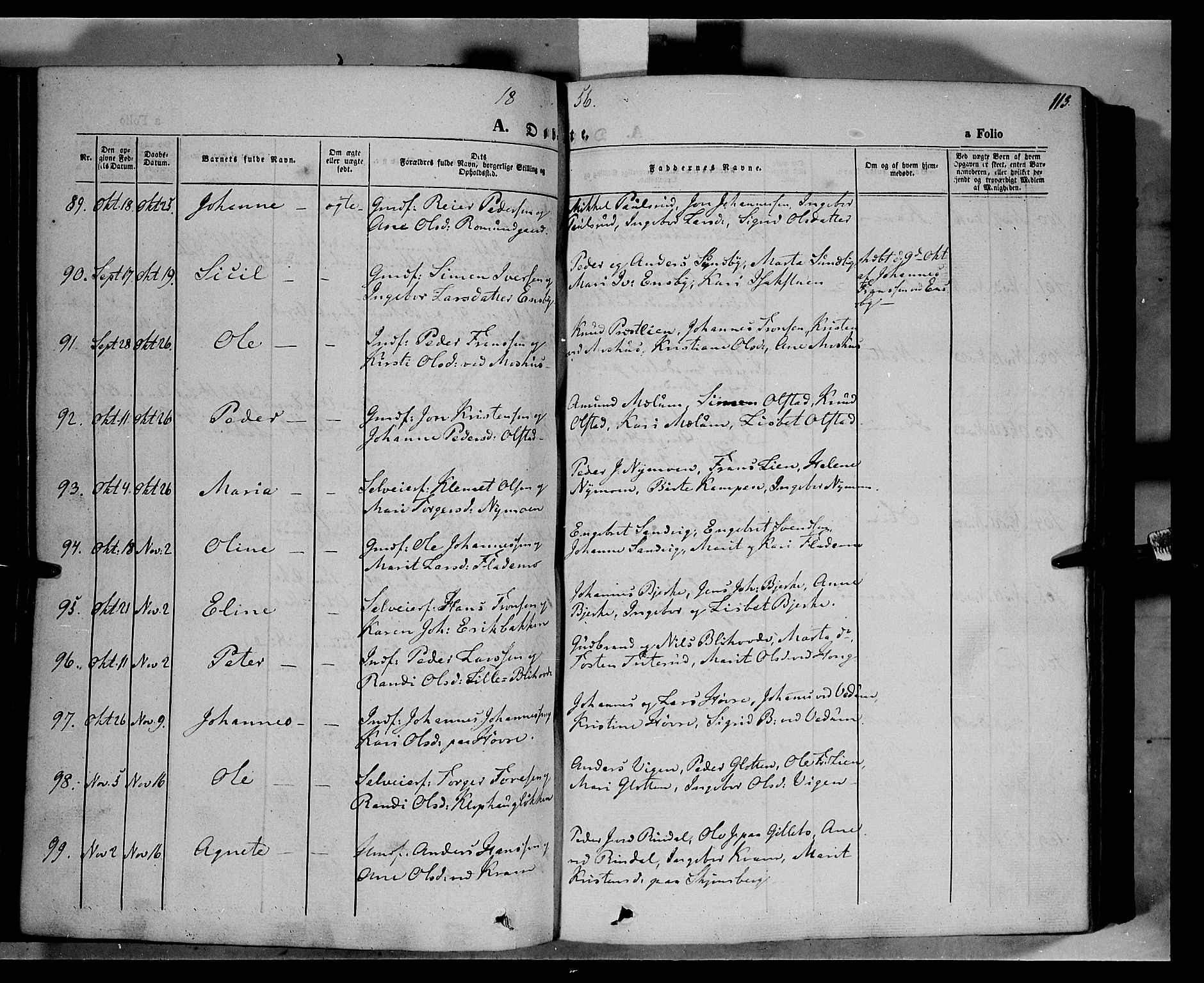 Øyer prestekontor, AV/SAH-PREST-084/H/Ha/Haa/L0005: Parish register (official) no. 5, 1842-1857, p. 113