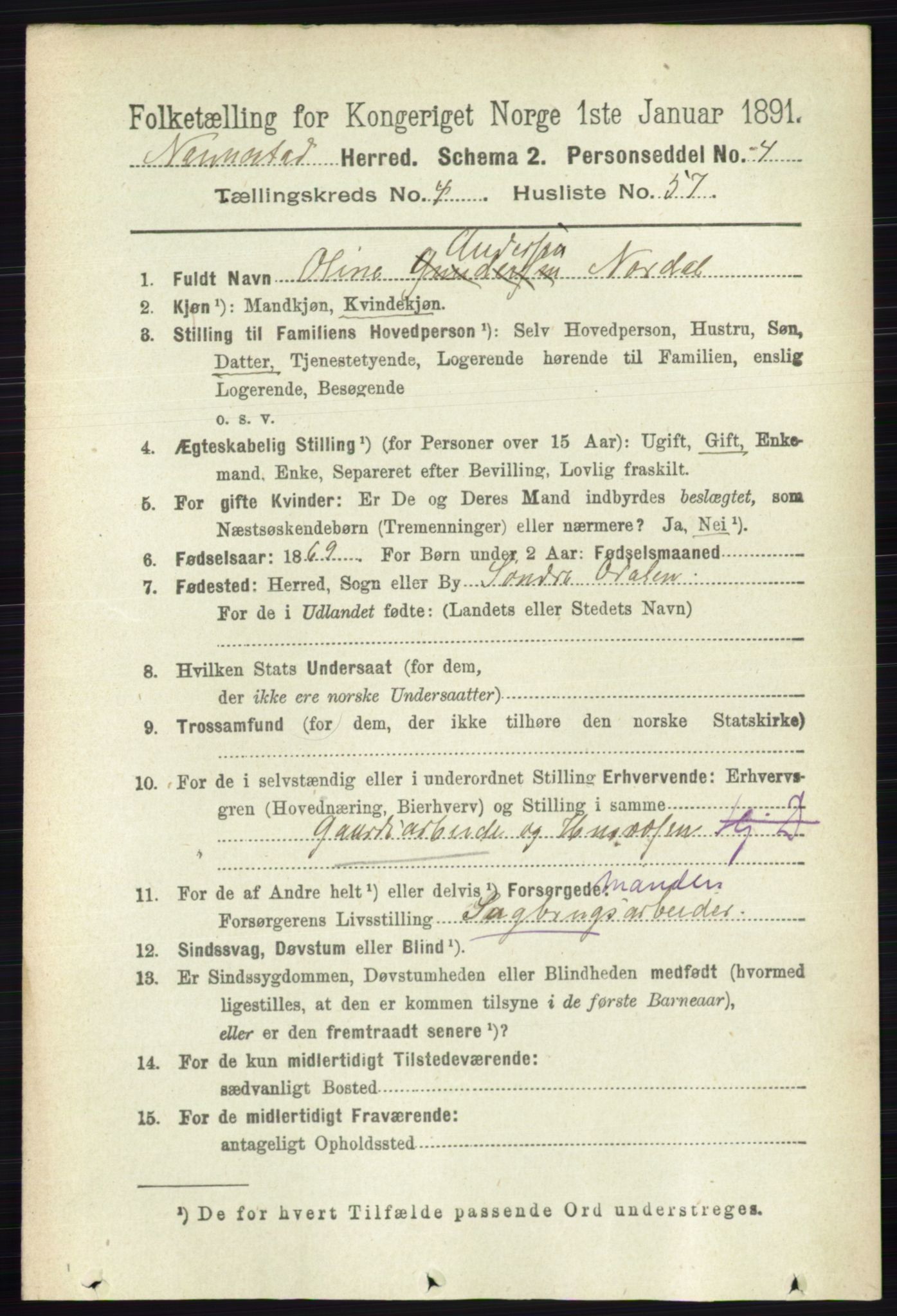 RA, 1891 census for 0238 Nannestad, 1891, p. 2404