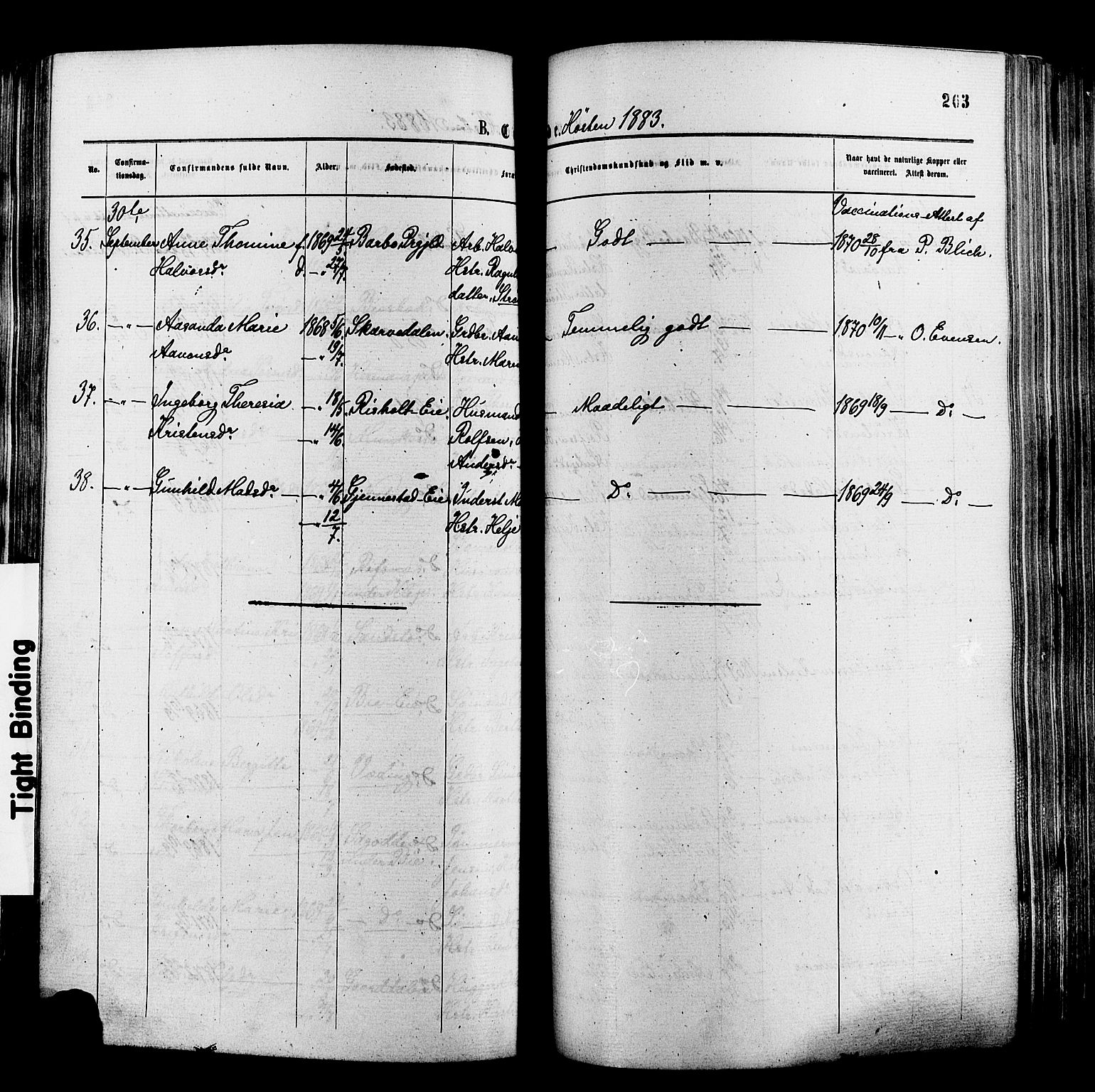 Øyestad sokneprestkontor, AV/SAK-1111-0049/F/Fa/L0016: Parish register (official) no. A 16, 1874-1886, p. 263