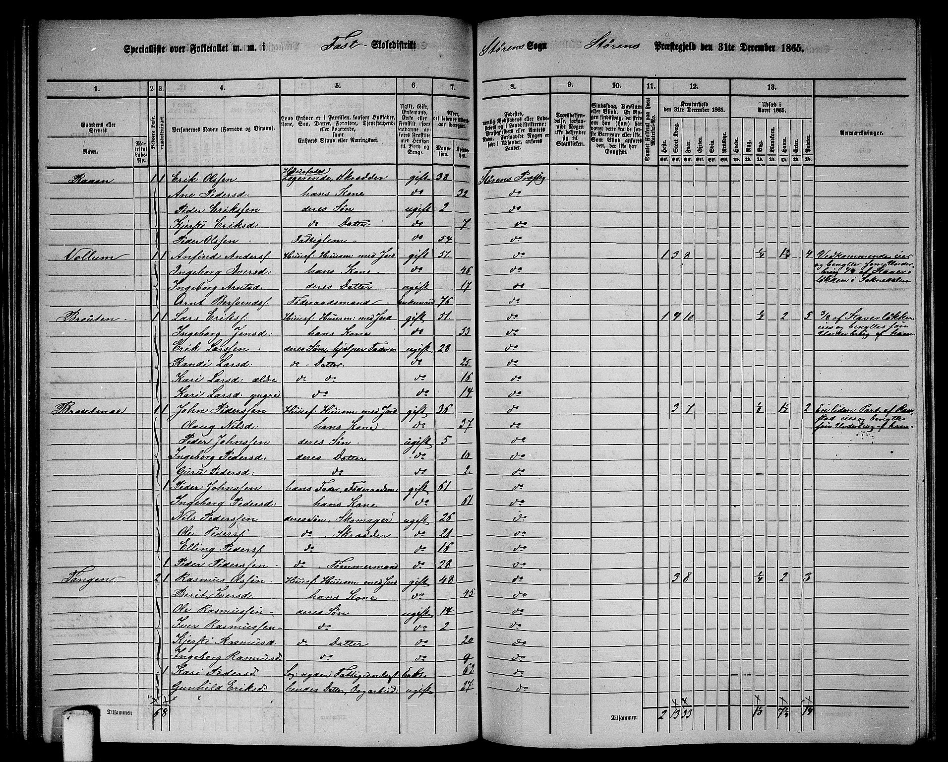 RA, 1865 census for Støren, 1865, p. 95