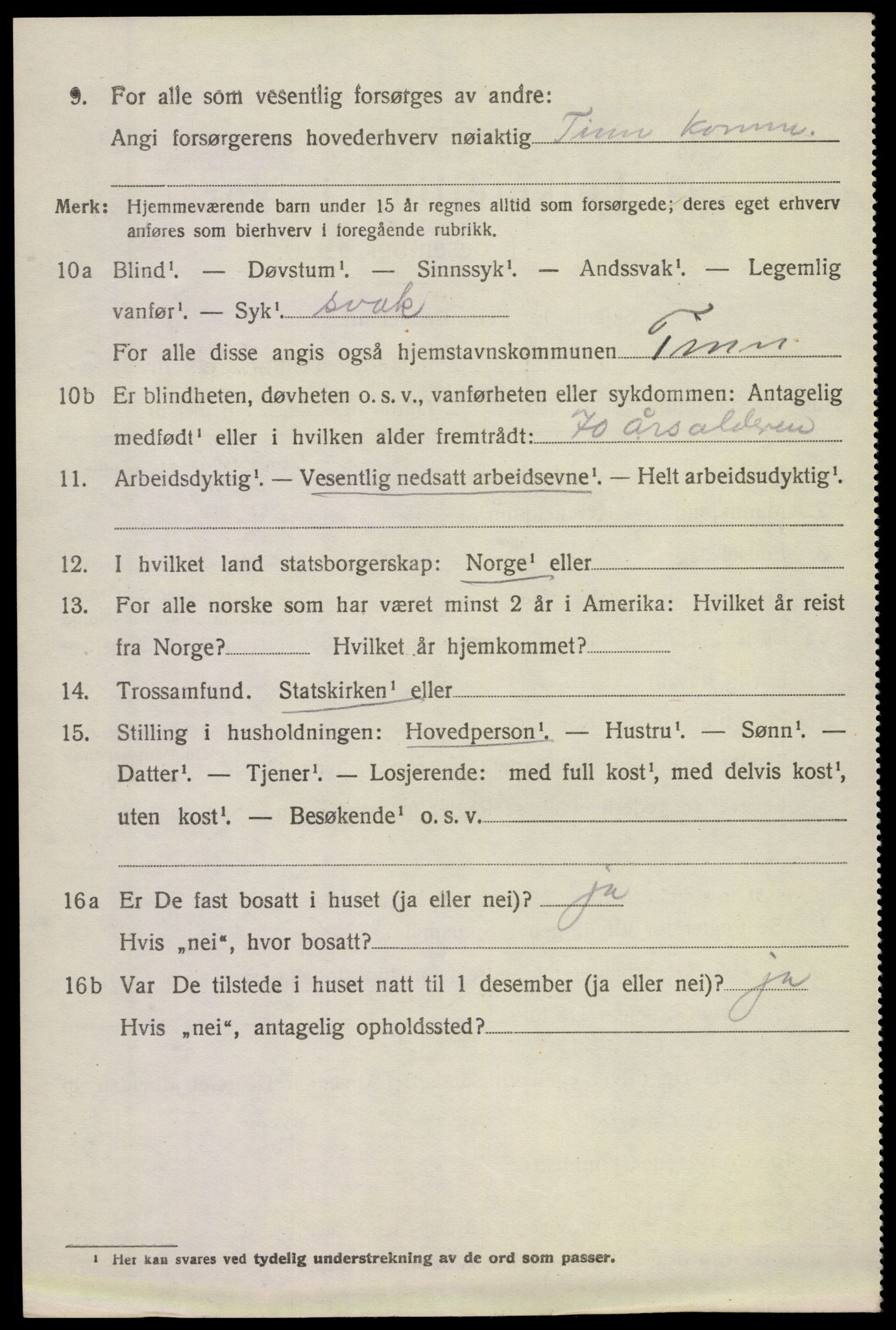 SAKO, 1920 census for Tinn, 1920, p. 3289