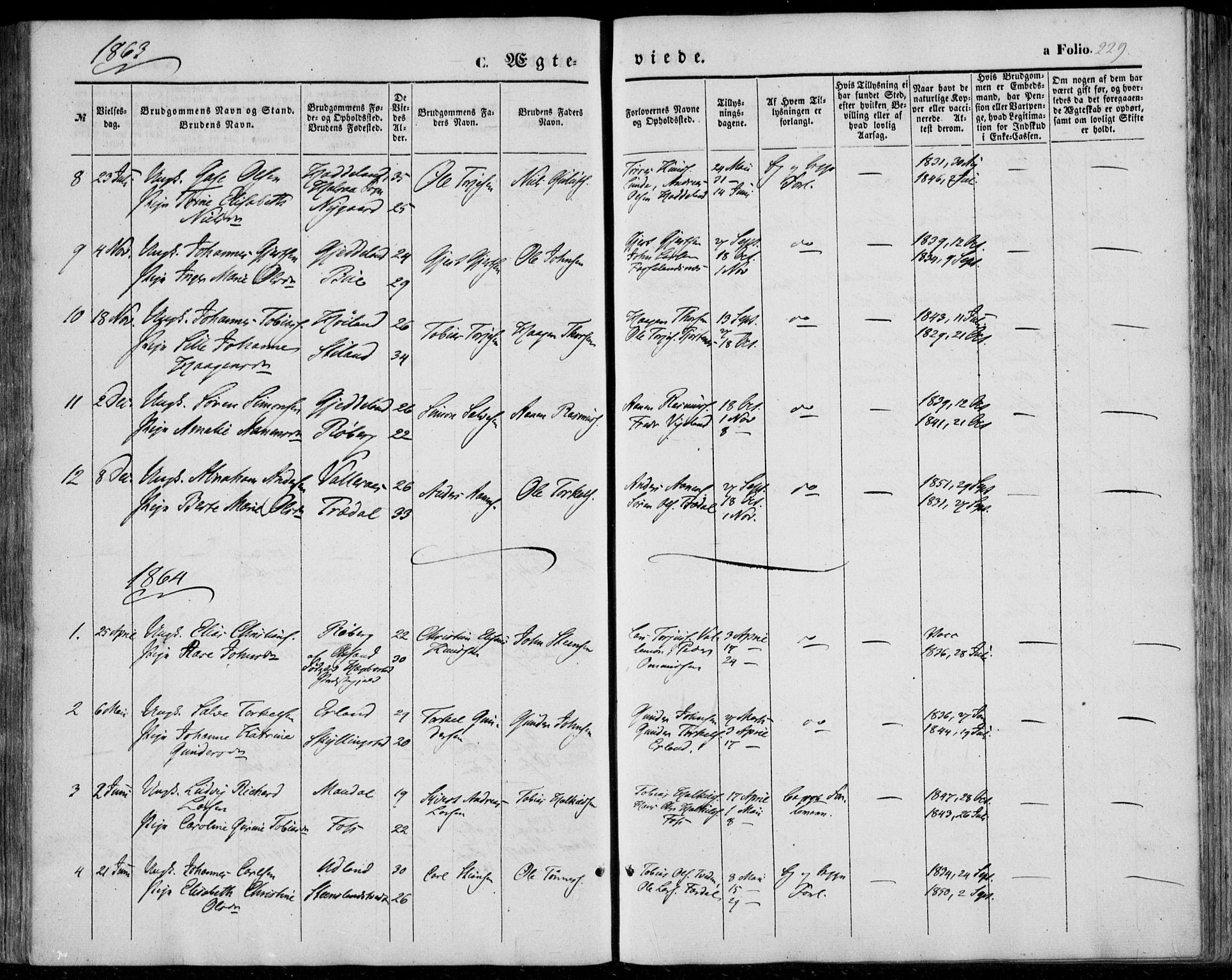 Sør-Audnedal sokneprestkontor, AV/SAK-1111-0039/F/Fa/Fab/L0007: Parish register (official) no. A 7, 1855-1876, p. 229