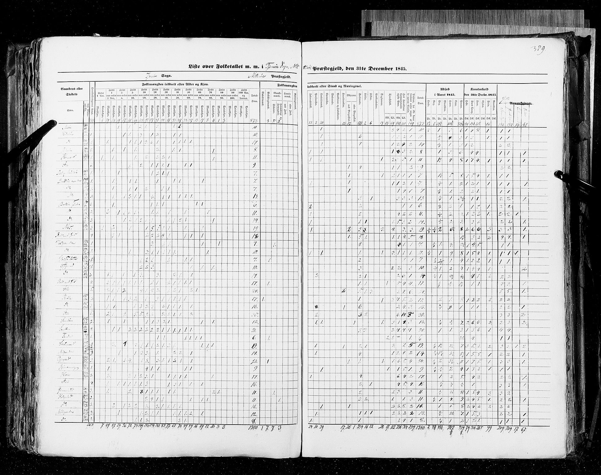 RA, Census 1845, vol. 4: Buskerud amt og Jarlsberg og Larvik amt, 1845, p. 389