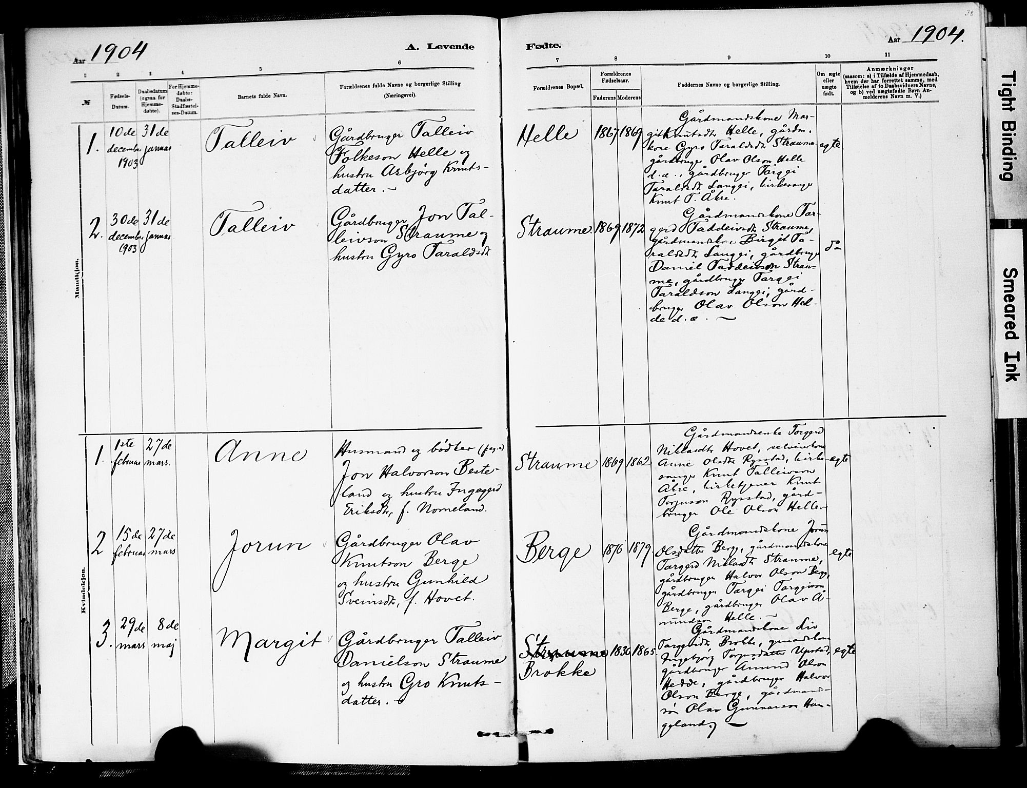 Valle sokneprestkontor, AV/SAK-1111-0044/F/Fa/Fab/L0001: Parish register (official) no. A 1, 1882-1910, p. 38