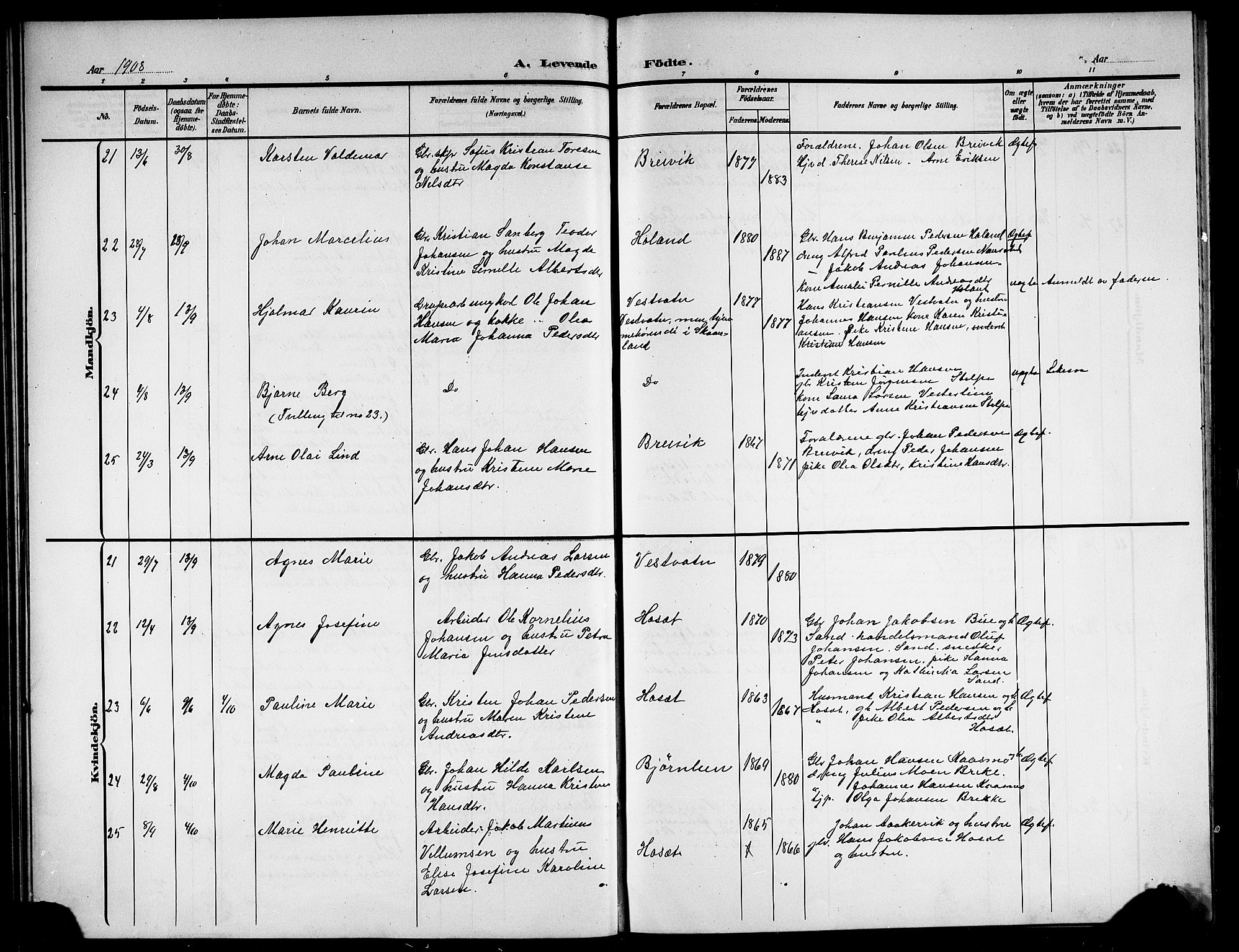 Ministerialprotokoller, klokkerbøker og fødselsregistre - Nordland, AV/SAT-A-1459/852/L0756: Parish register (copy) no. 852C07, 1902-1916