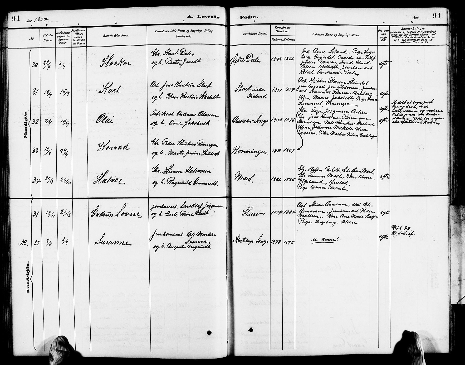 Froland sokneprestkontor, AV/SAK-1111-0013/F/Fb/L0010: Parish register (copy) no. B 10, 1893-1920, p. 91