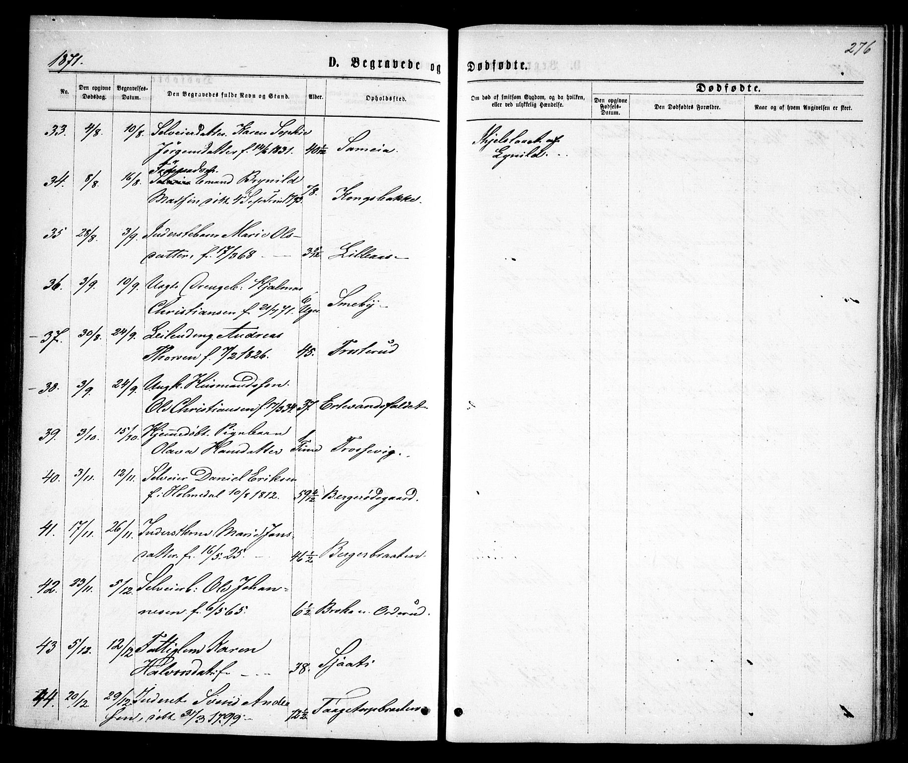 Rødenes prestekontor Kirkebøker, AV/SAO-A-2005/F/Fa/L0008: Parish register (official) no. I 8, 1869-1879, p. 276