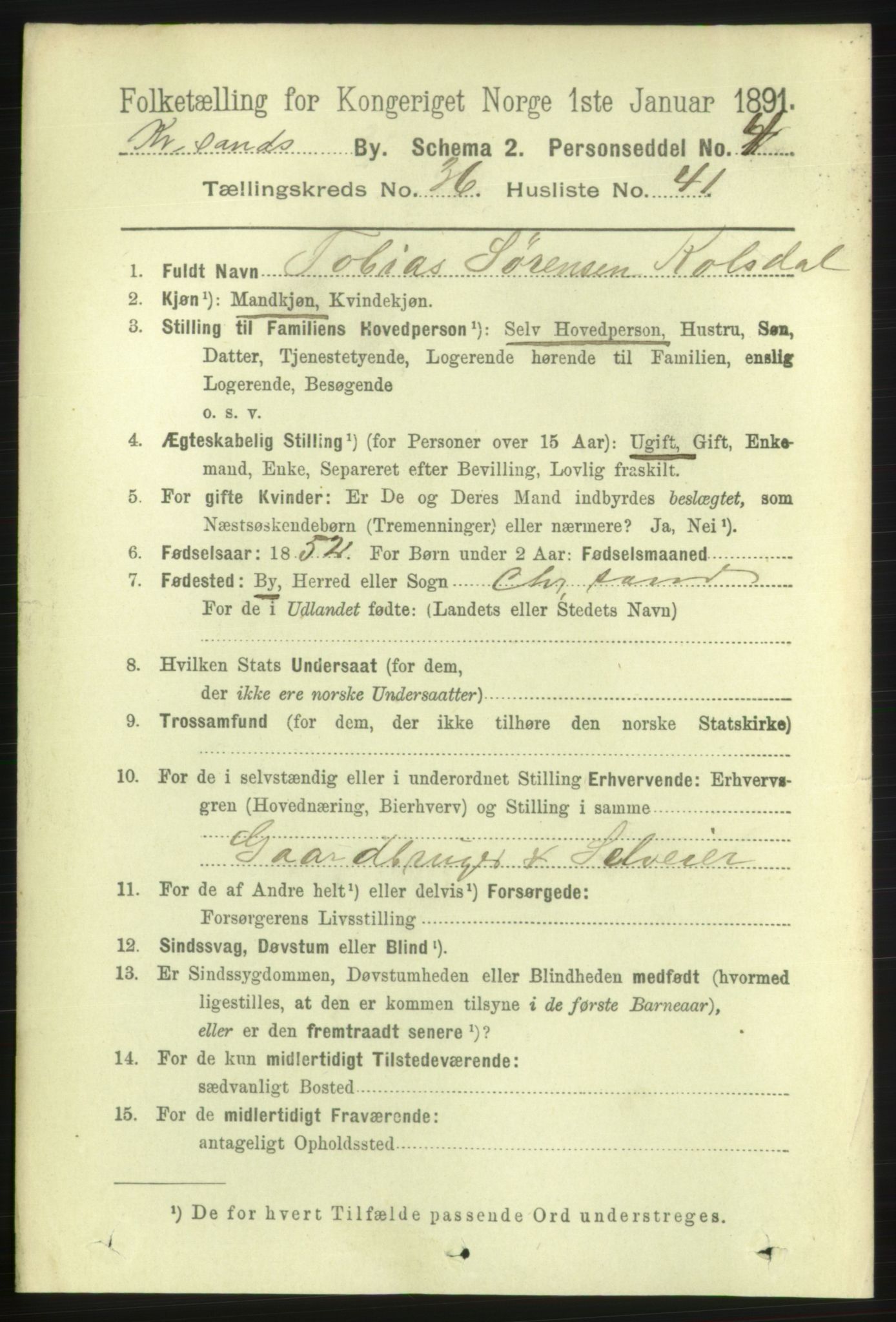 RA, 1891 census for 1001 Kristiansand, 1891, p. 11640