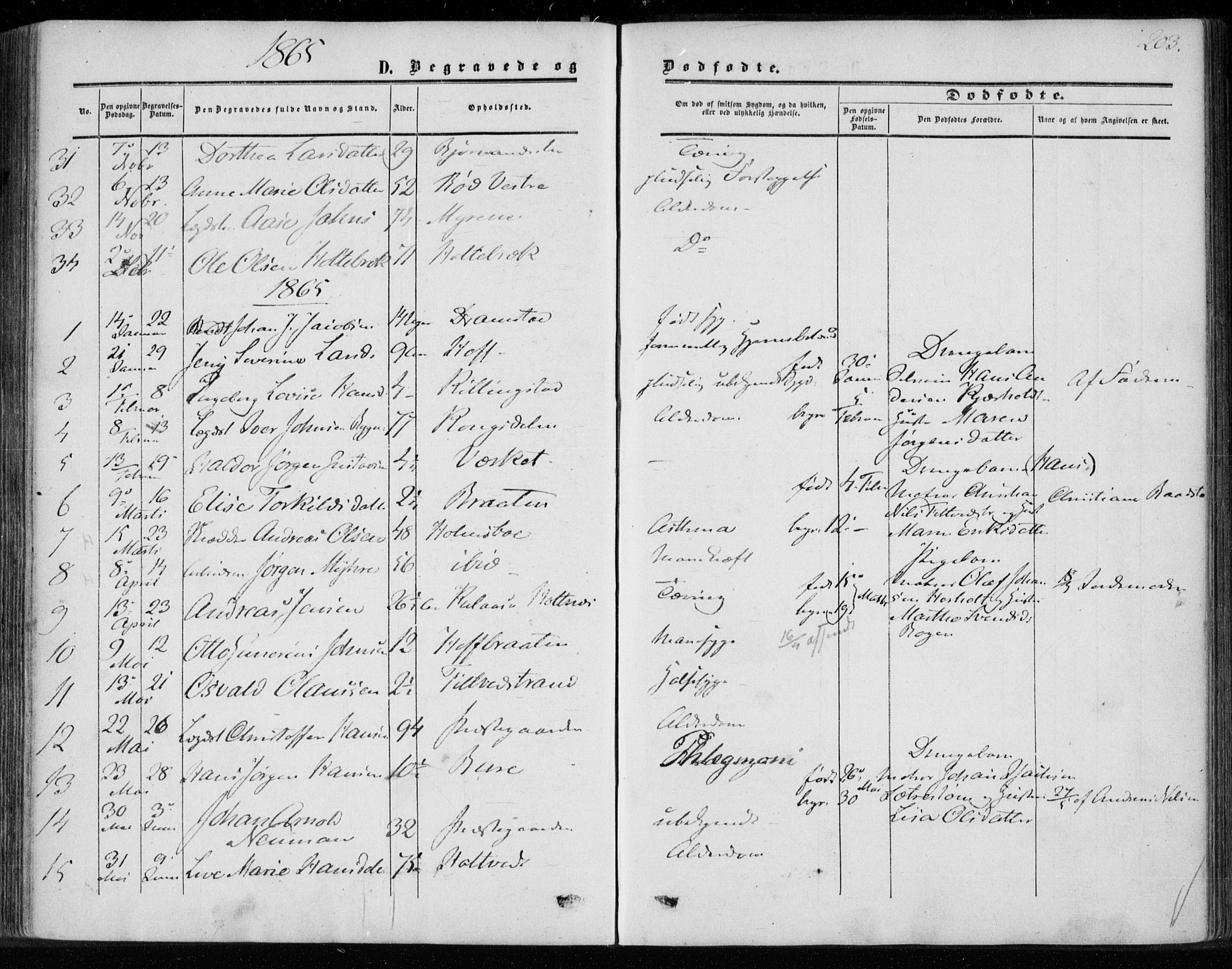 Hurum kirkebøker, SAKO/A-229/F/Fa/L0012: Parish register (official) no. 12, 1861-1875, p. 203