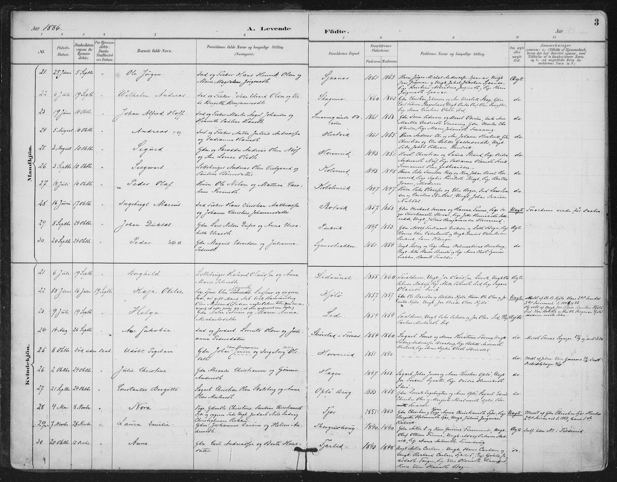 Ministerialprotokoller, klokkerbøker og fødselsregistre - Nord-Trøndelag, SAT/A-1458/780/L0644: Parish register (official) no. 780A08, 1886-1903, p. 3