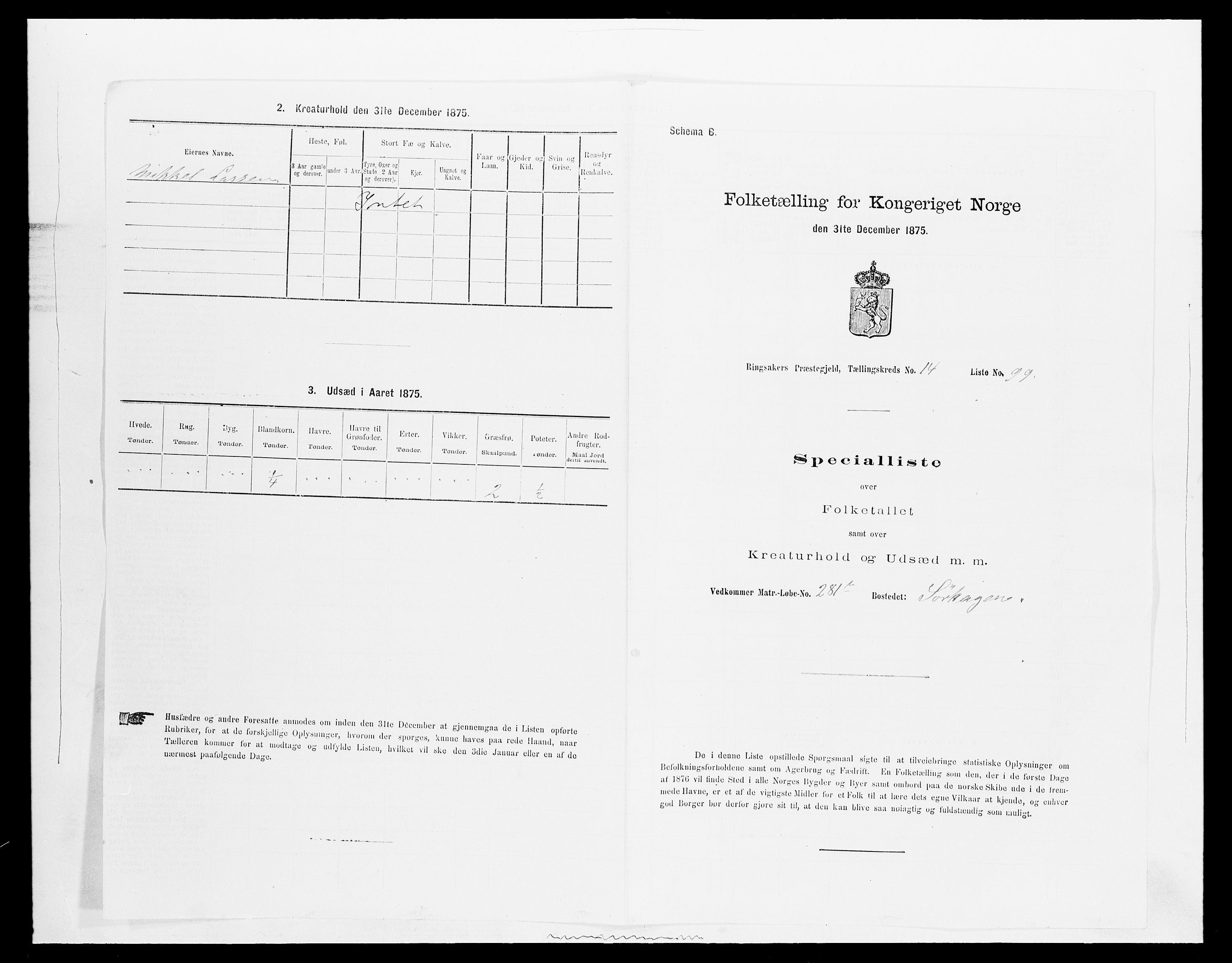 SAH, 1875 census for 0412P Ringsaker, 1875, p. 3020