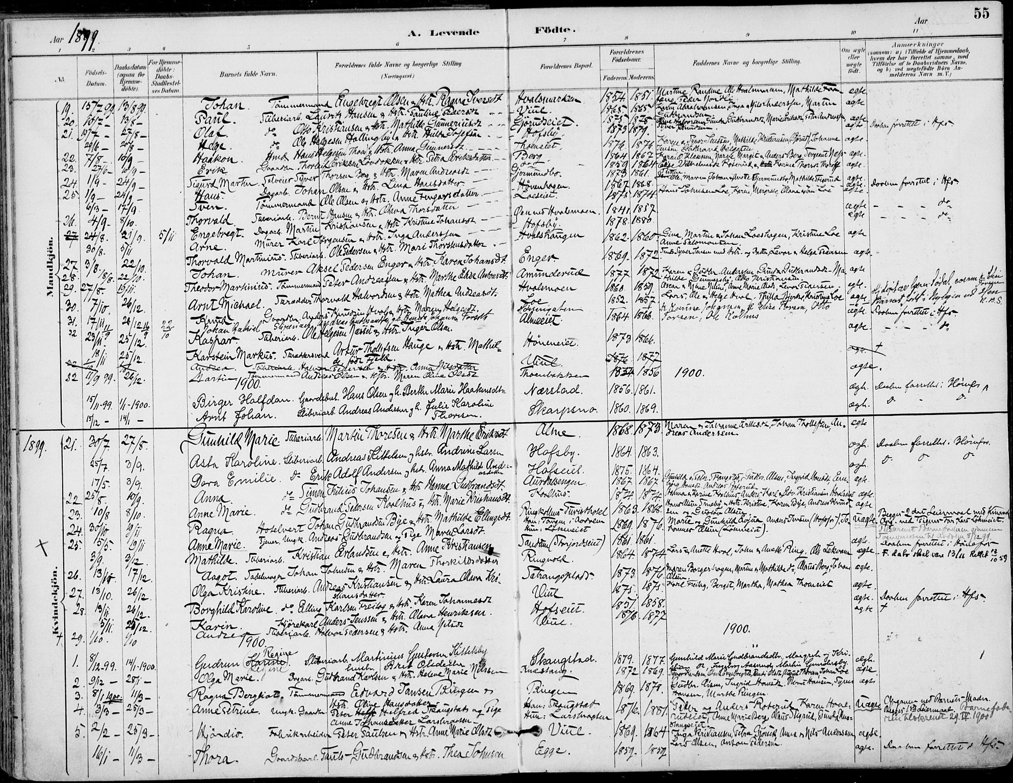 Haug kirkebøker, AV/SAKO-A-604/F/Fa/L0001: Parish register (official) no. 1, 1885-1917, p. 55