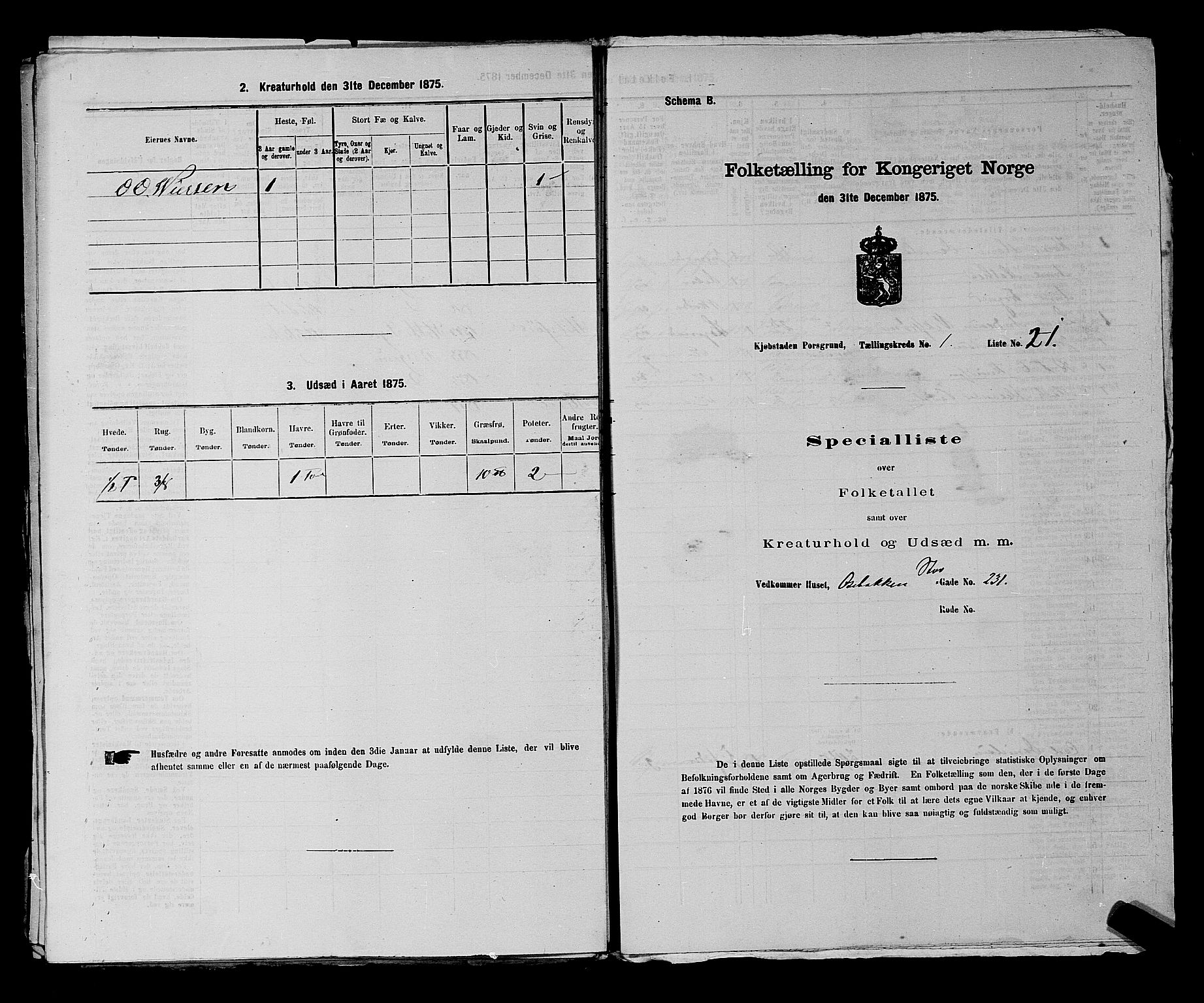 SAKO, 1875 census for 0805P Porsgrunn, 1875, p. 72