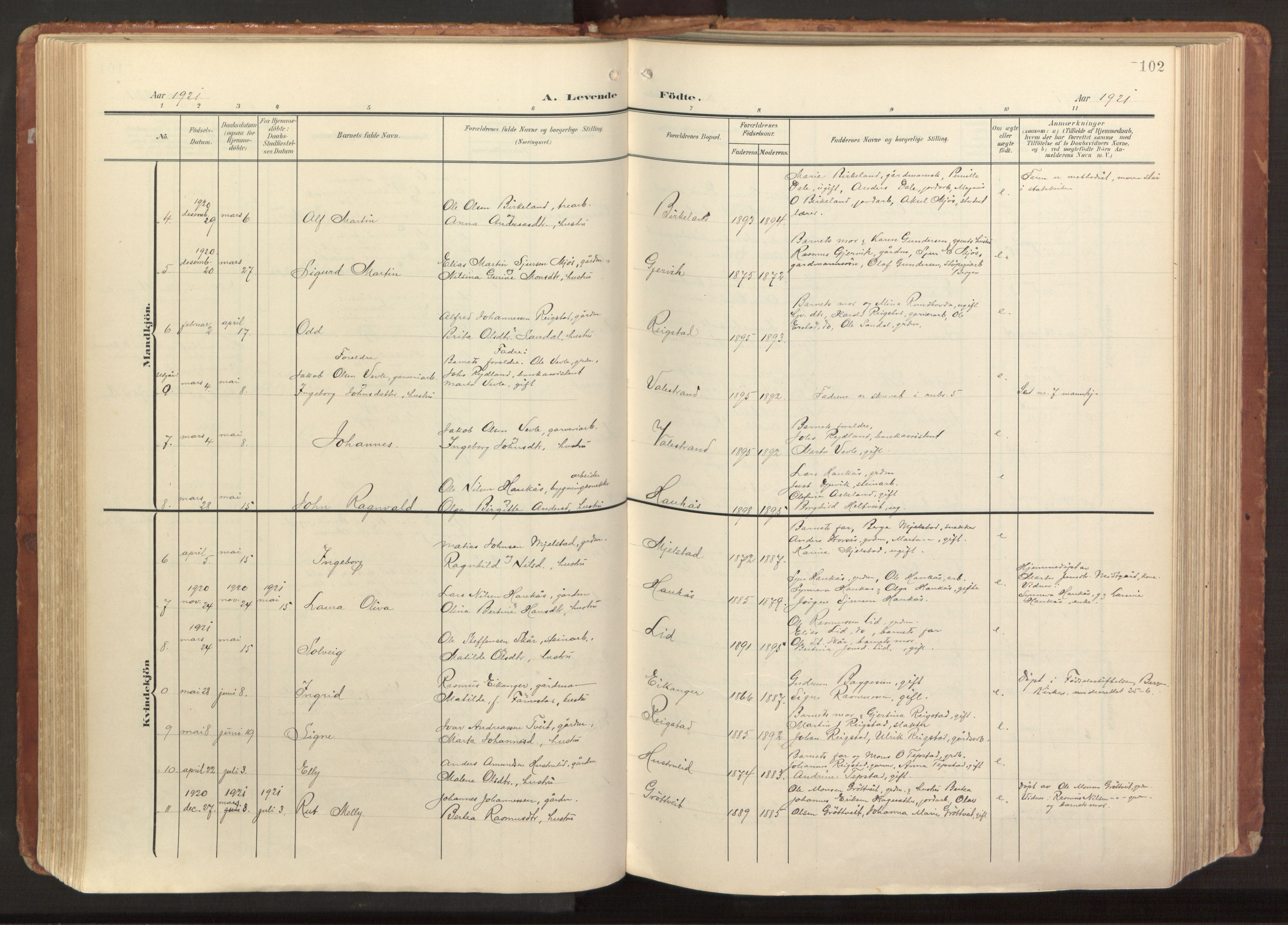 Hamre sokneprestembete, AV/SAB-A-75501/H/Ha/Haa/Haab/L0002: Parish register (official) no. B 2, 1905-1924, p. 102