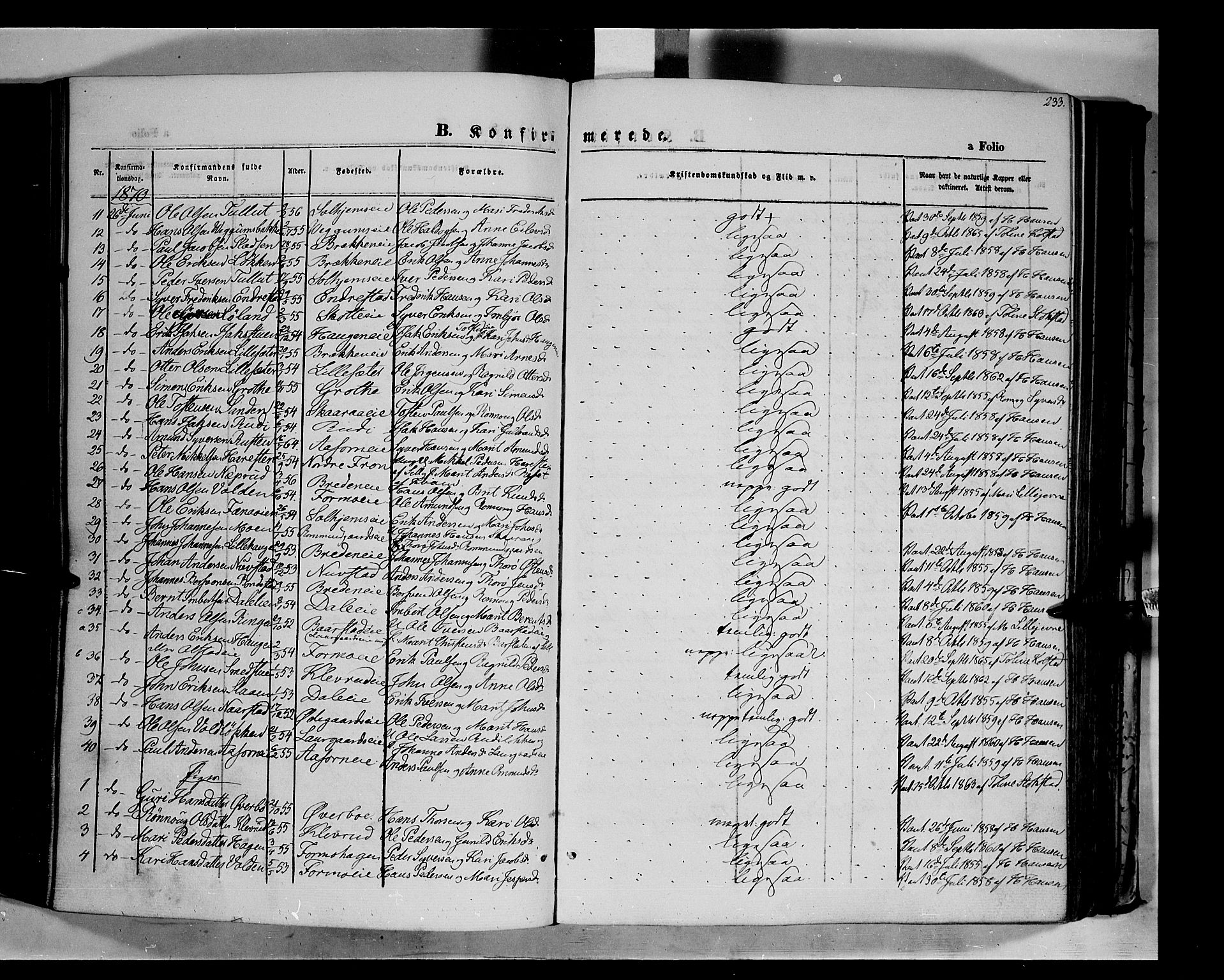 Vågå prestekontor, SAH/PREST-076/H/Ha/Haa/L0006: Parish register (official) no. 6 /1, 1856-1872, p. 233