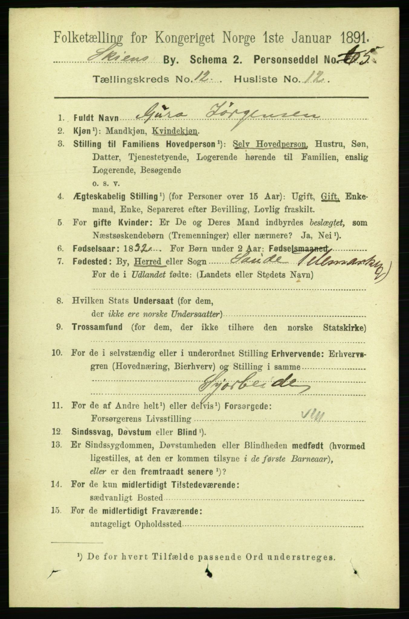 RA, 1891 census for 0806 Skien, 1891, p. 4080