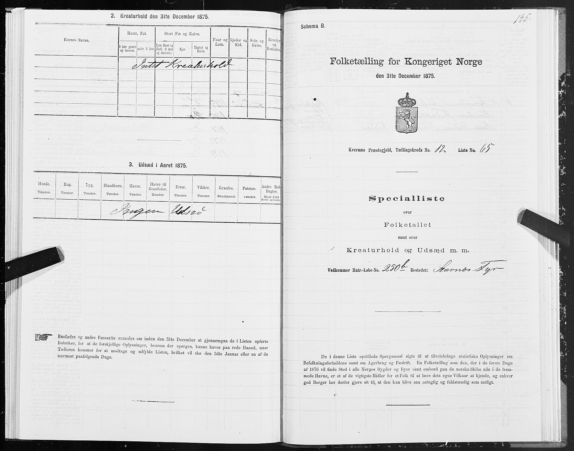 SAT, 1875 census for 1553P Kvernes, 1875, p. 6195