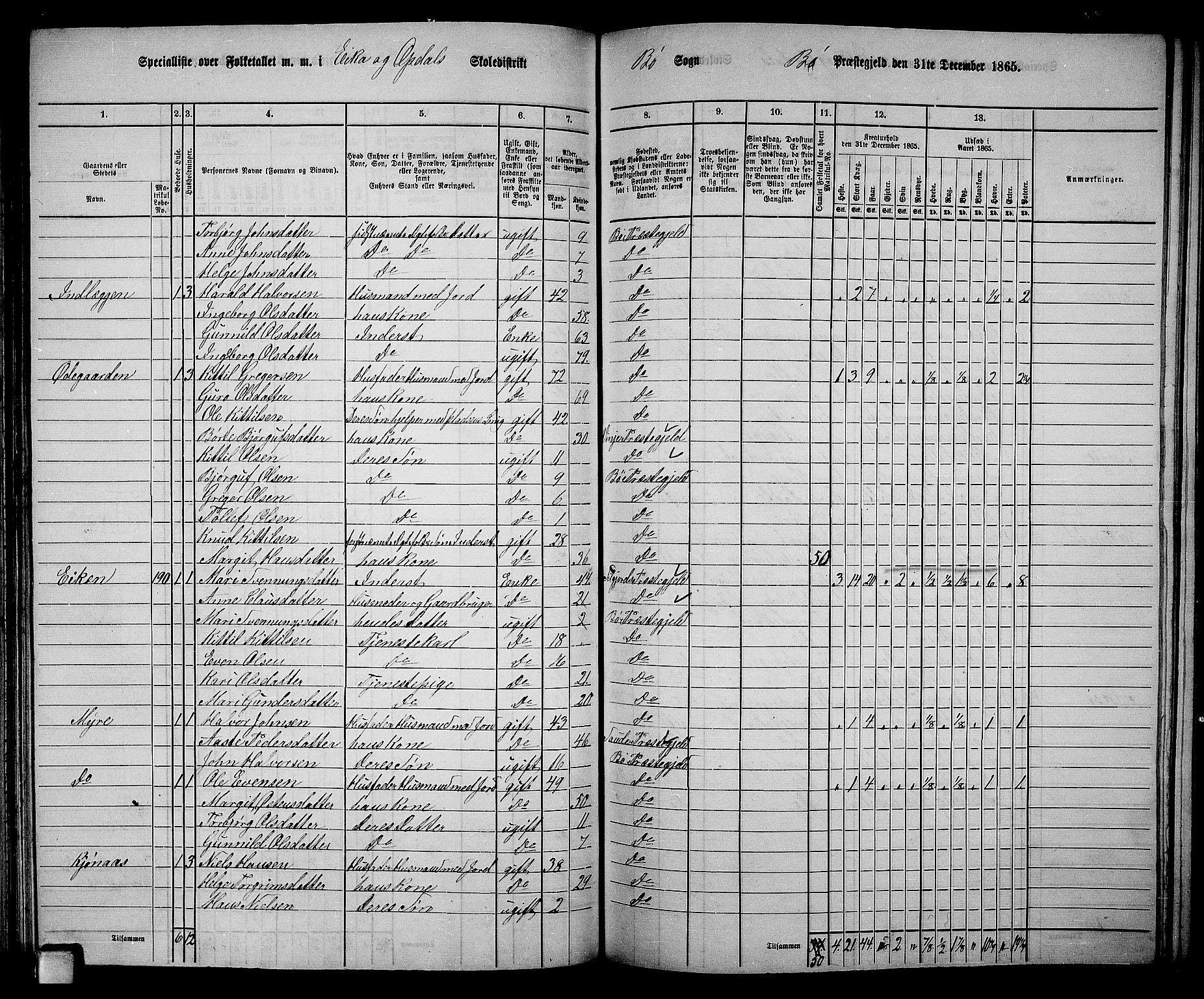 RA, 1865 census for Bø, 1865, p. 116