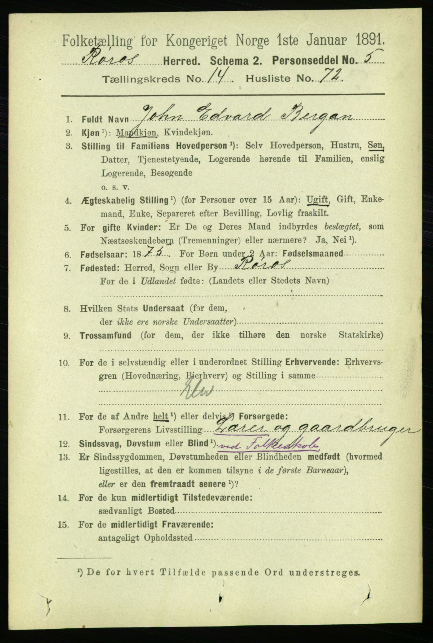 RA, 1891 census for 1640 Røros, 1891, p. 3256