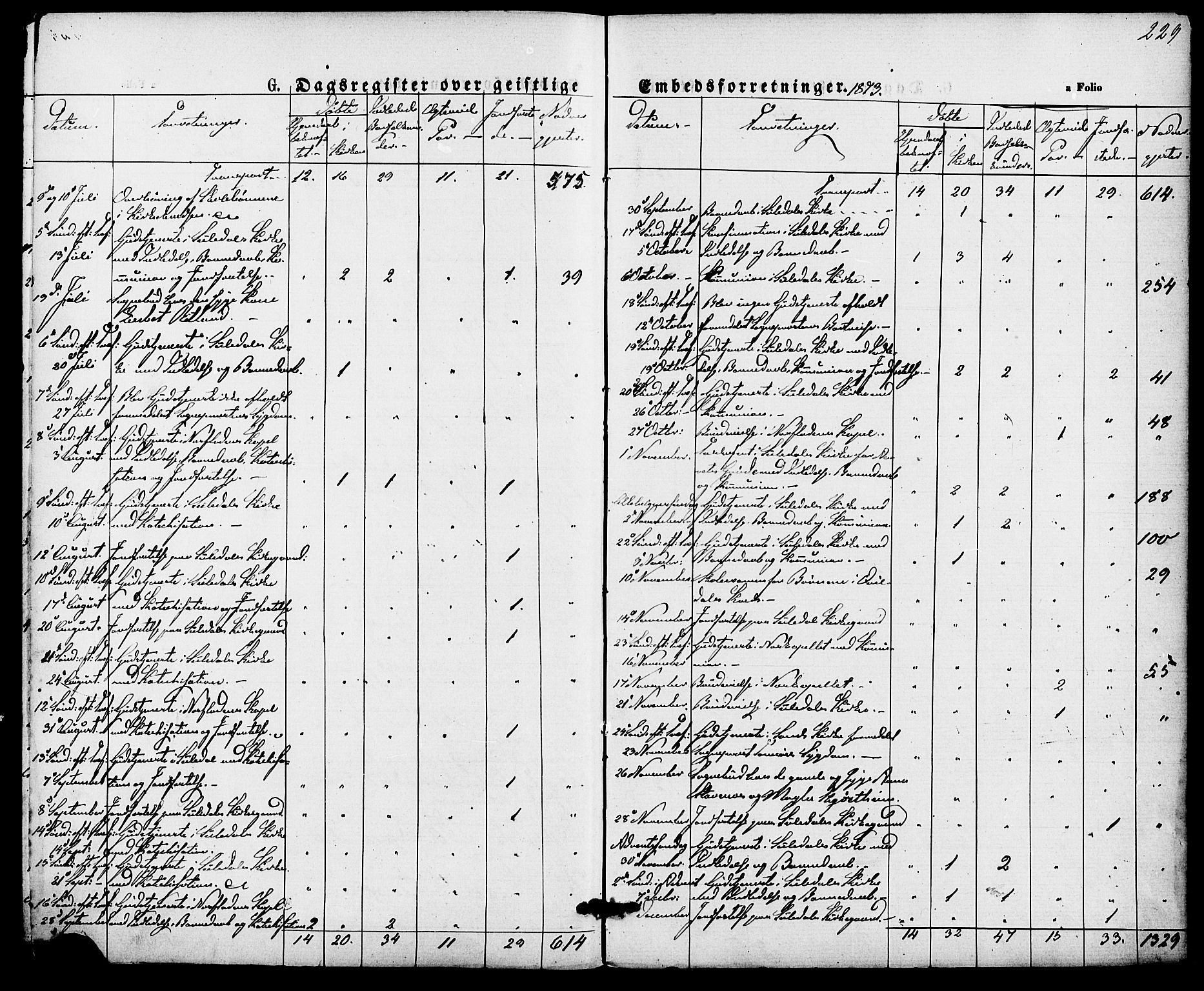 Suldal sokneprestkontor, AV/SAST-A-101845/01/IV/L0010: Parish register (official) no. A 10, 1869-1878, p. 229