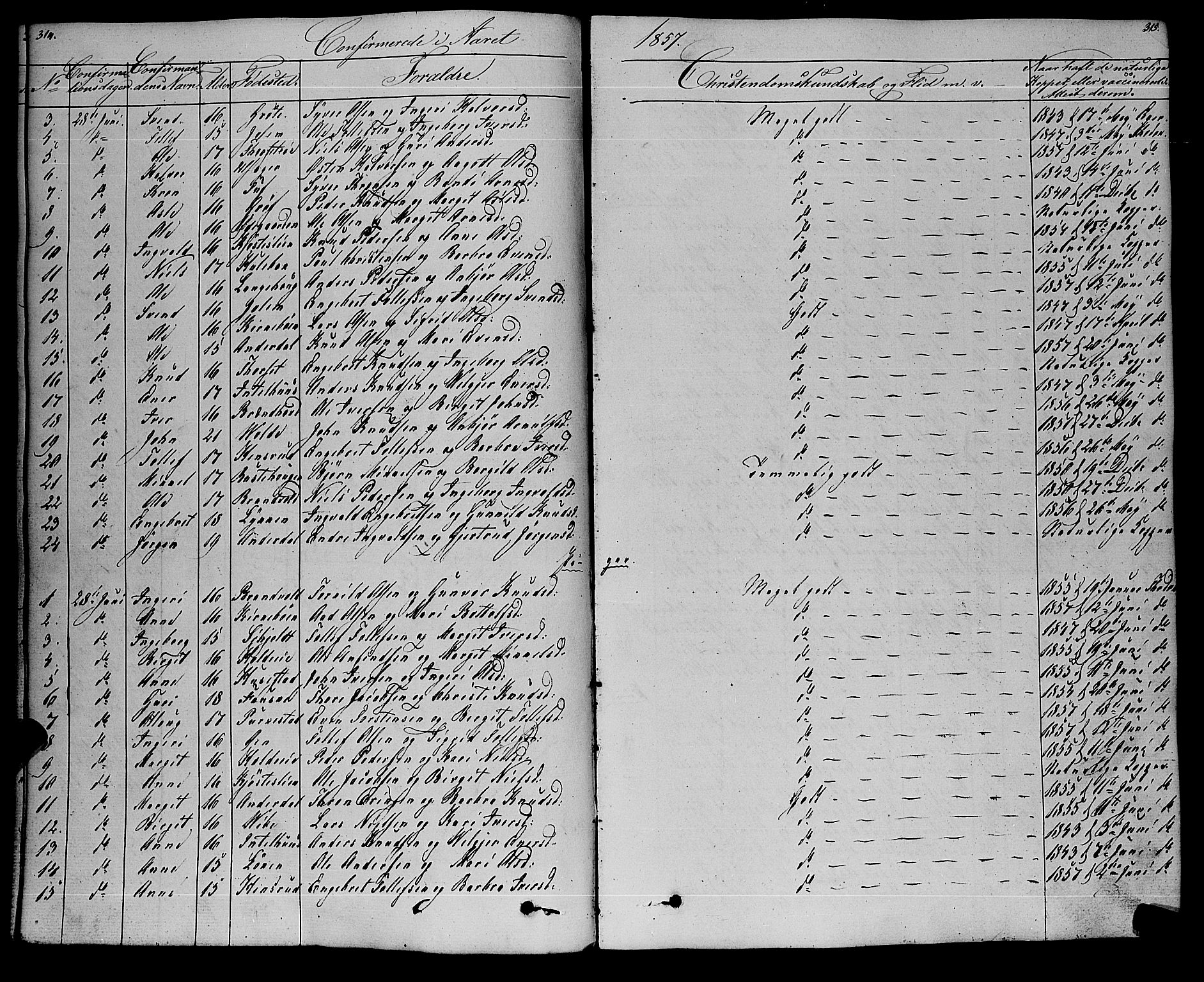 Gol kirkebøker, SAKO/A-226/F/Fa/L0002: Parish register (official) no. I 2, 1837-1863, p. 314-315