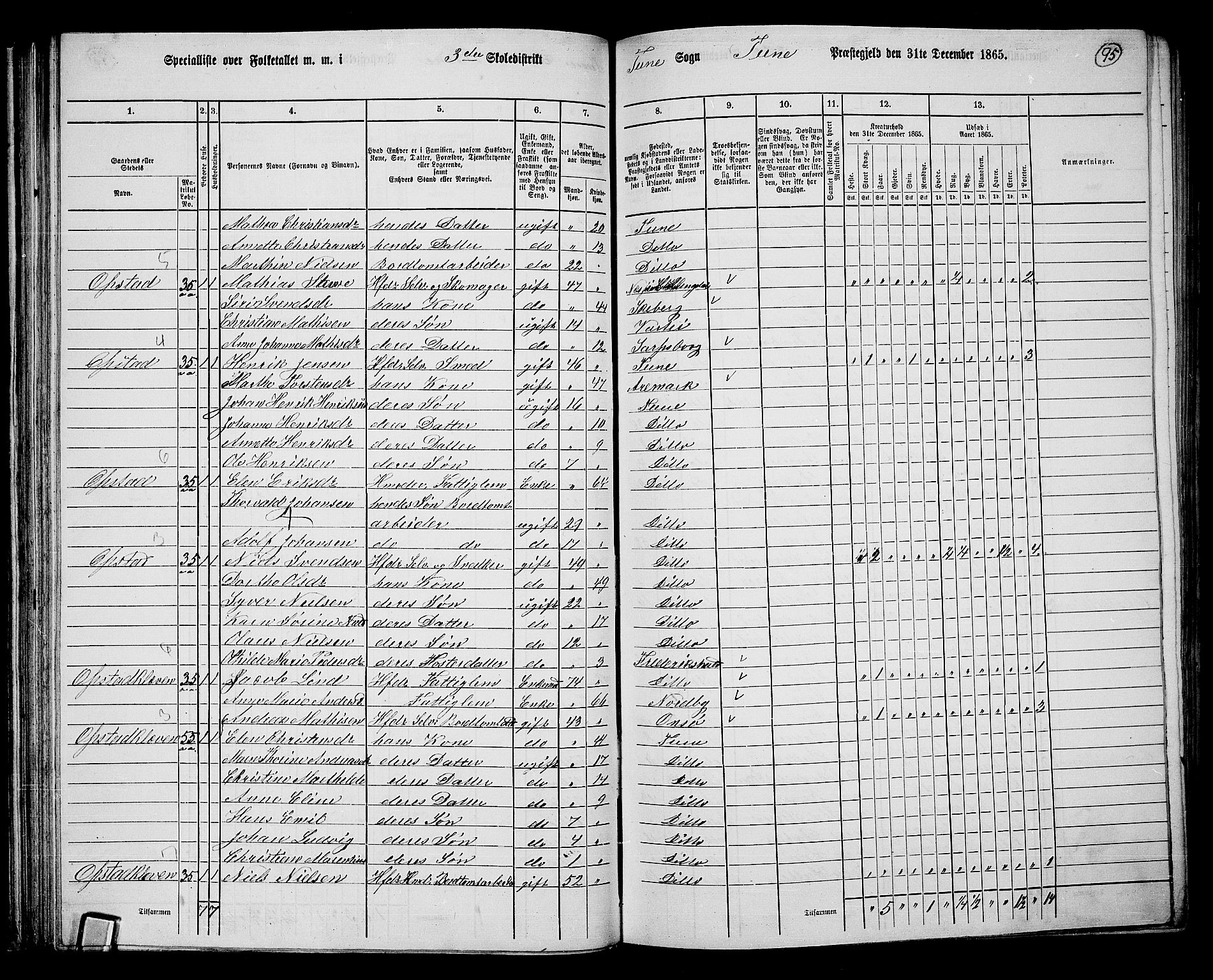 RA, 1865 census for Tune, 1865, p. 88