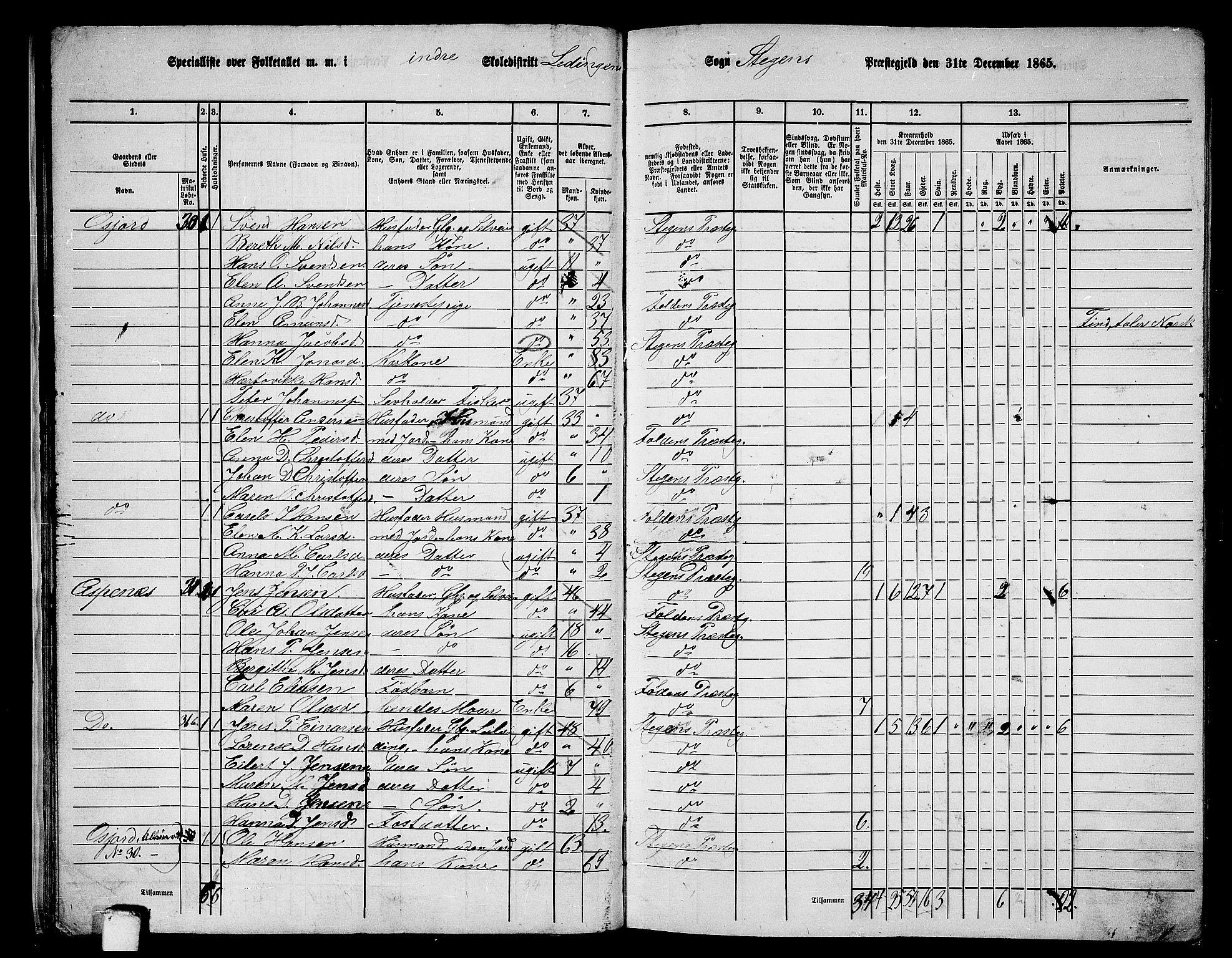 RA, 1865 census for Steigen, 1865, p. 22