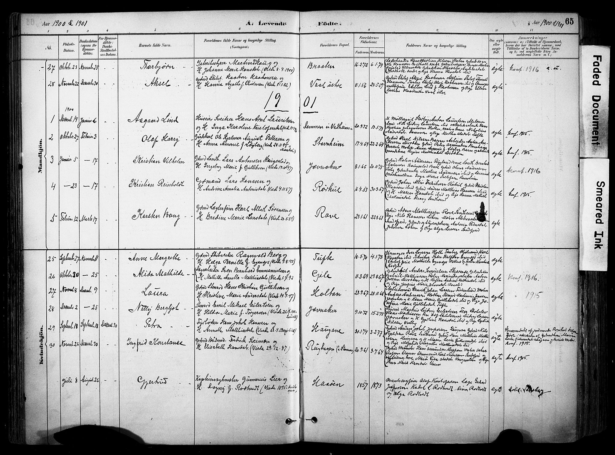 Stokke kirkebøker, AV/SAKO-A-320/F/Fa/L0010: Parish register (official) no. I 10, 1884-1903, p. 65