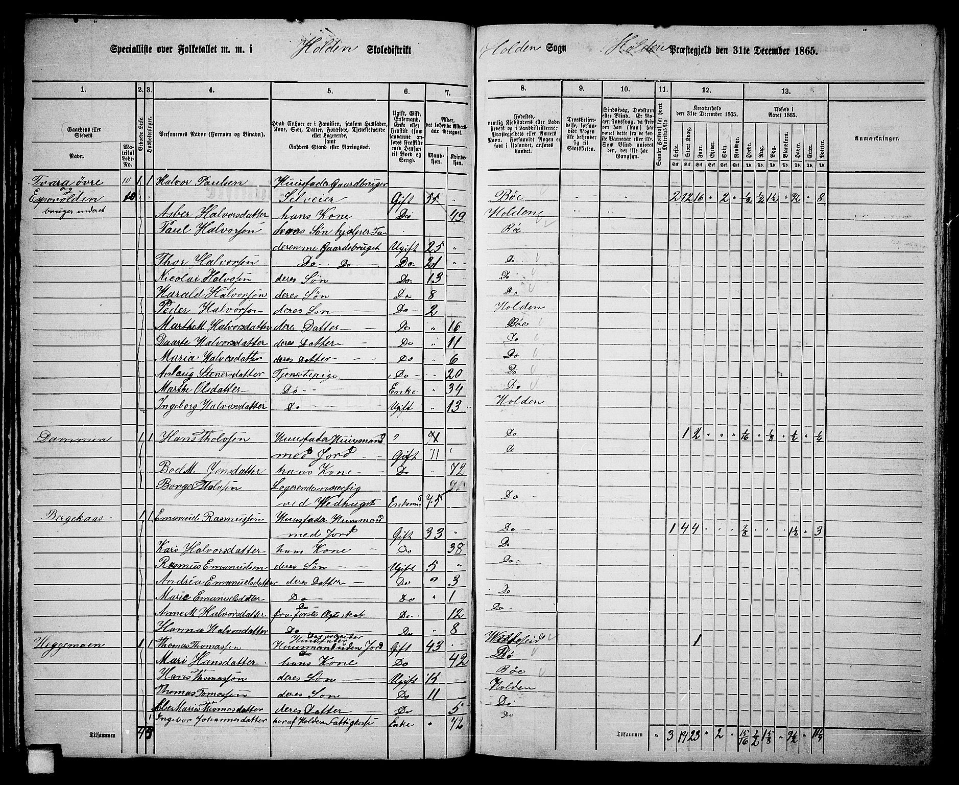 RA, 1865 census for Holla, 1865, p. 29