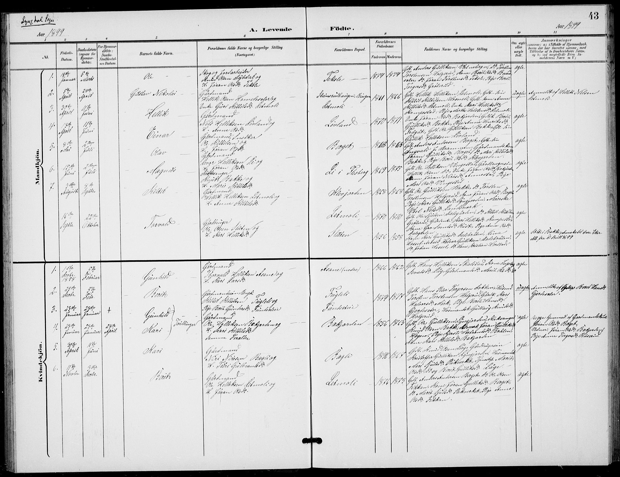 Flesberg kirkebøker, AV/SAKO-A-18/G/Ga/L0005: Parish register (copy) no. I 5, 1899-1908, p. 43