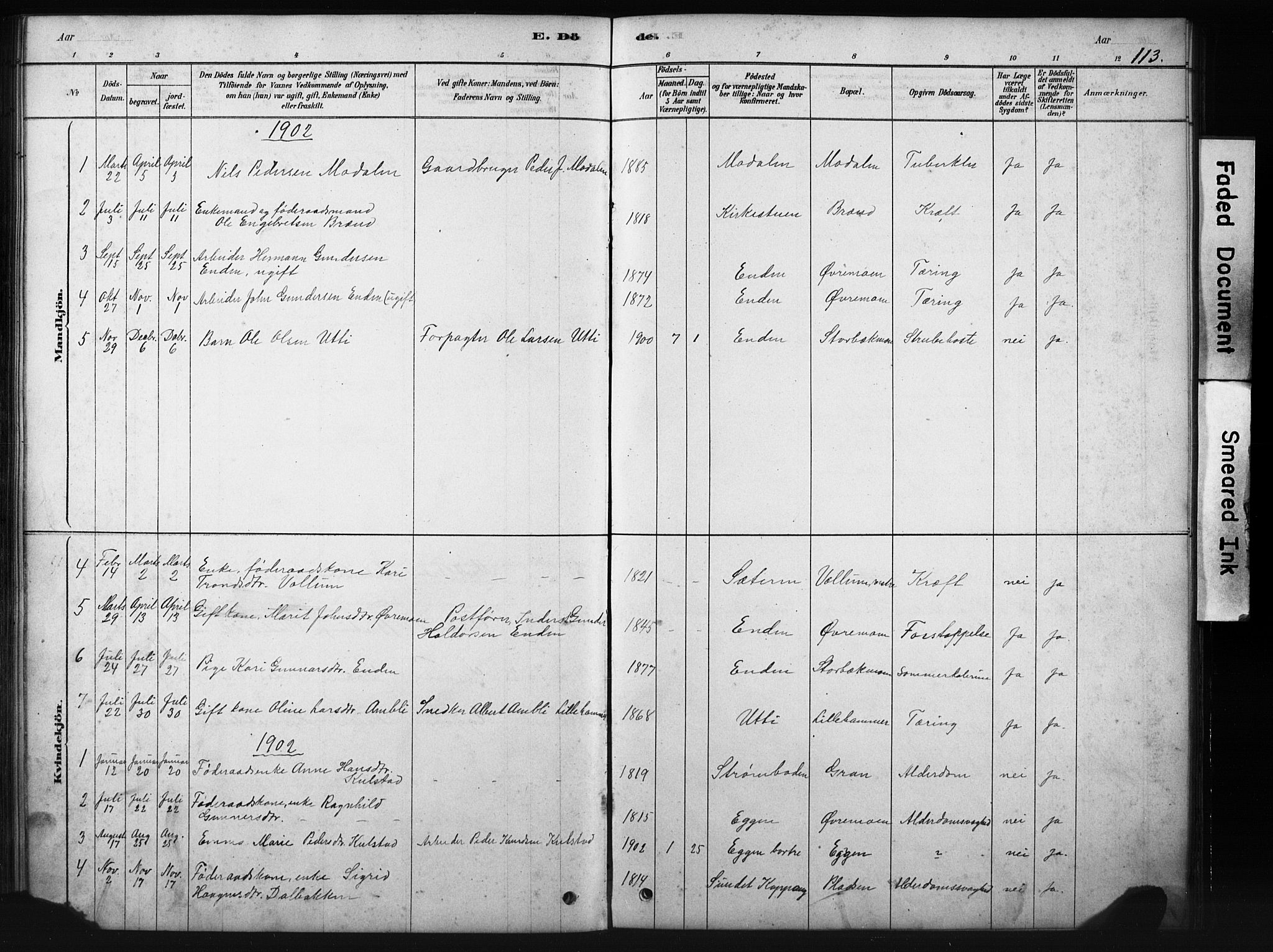 Sollia prestekontor, SAH/PREST-050/H/Ha/Hab/L0002: Parish register (copy) no. 2, 1880-1933, p. 113