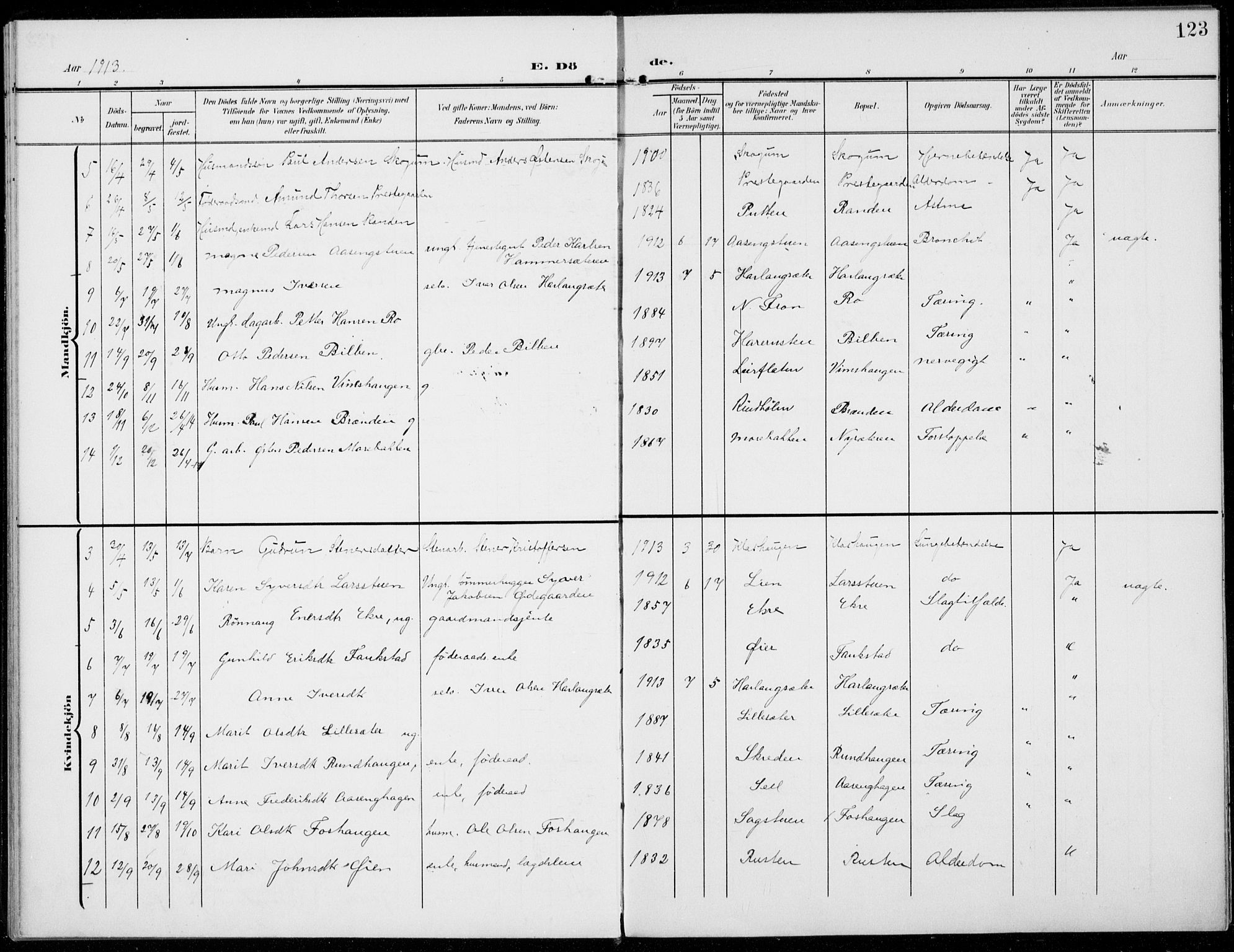 Sel prestekontor, SAH/PREST-074/H/Ha/Haa/L0001: Parish register (official) no. 1, 1905-1922, p. 123