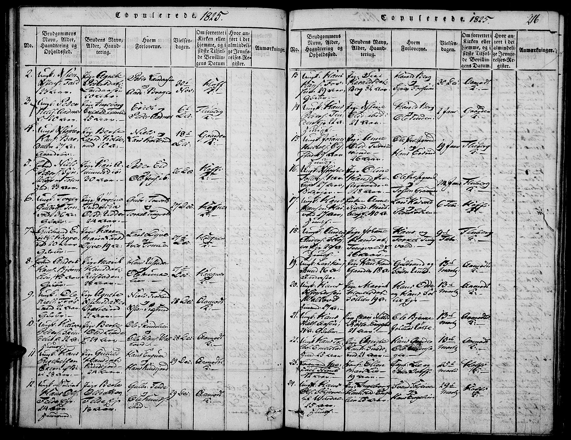 Land prestekontor, SAH/PREST-120/H/Ha/Haa/L0007: Parish register (official) no. 7, 1814-1830, p. 216