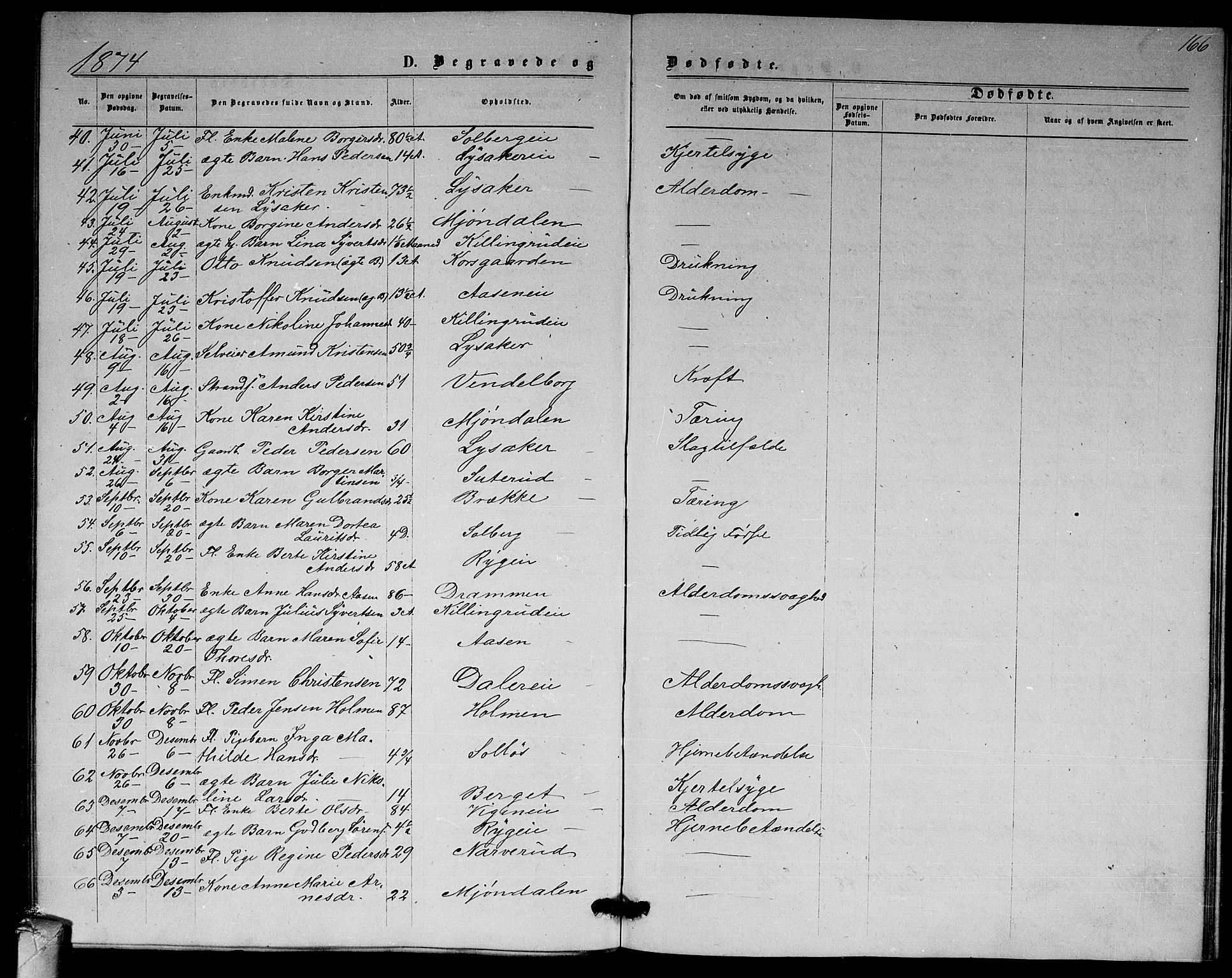 Nedre Eiker kirkebøker, SAKO/A-612/G/Ga/L0001: Parish register (copy) no. 1, 1873-1880, p. 166